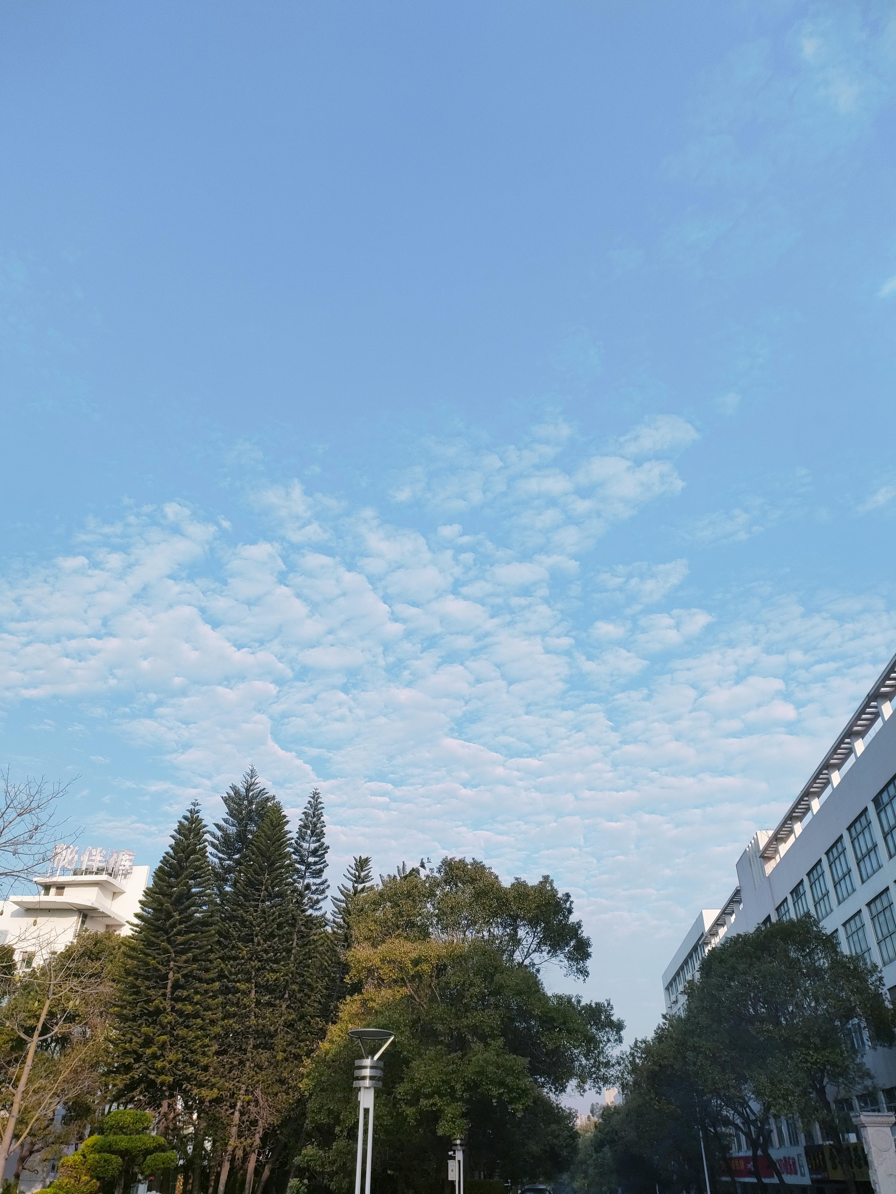 角落里的猫 的想法: 过年 | 一年又接近尾声, br>每年年初都是干劲