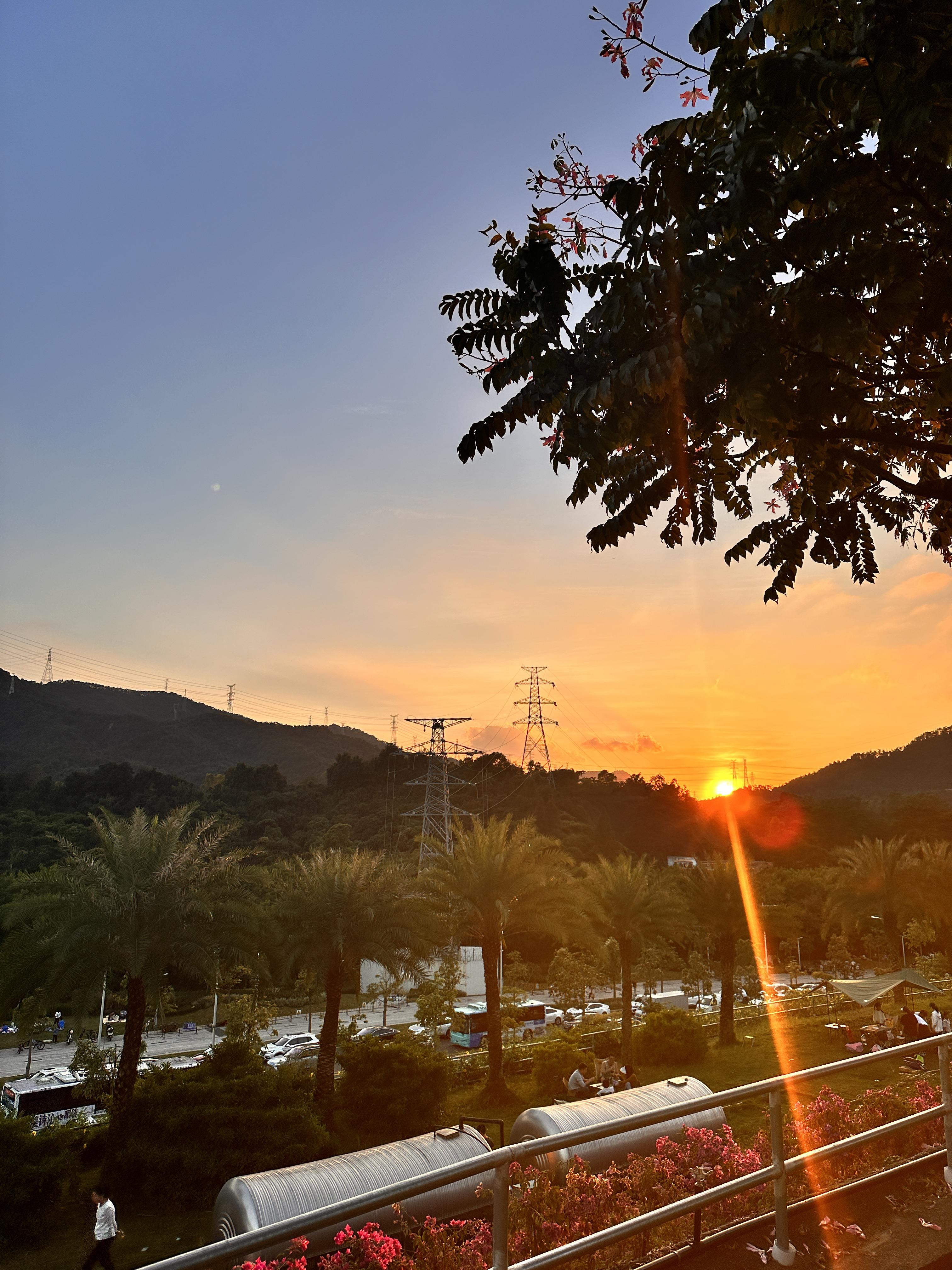 荒野小海熊 的想法: 你见过的最美夕阳长什么样?