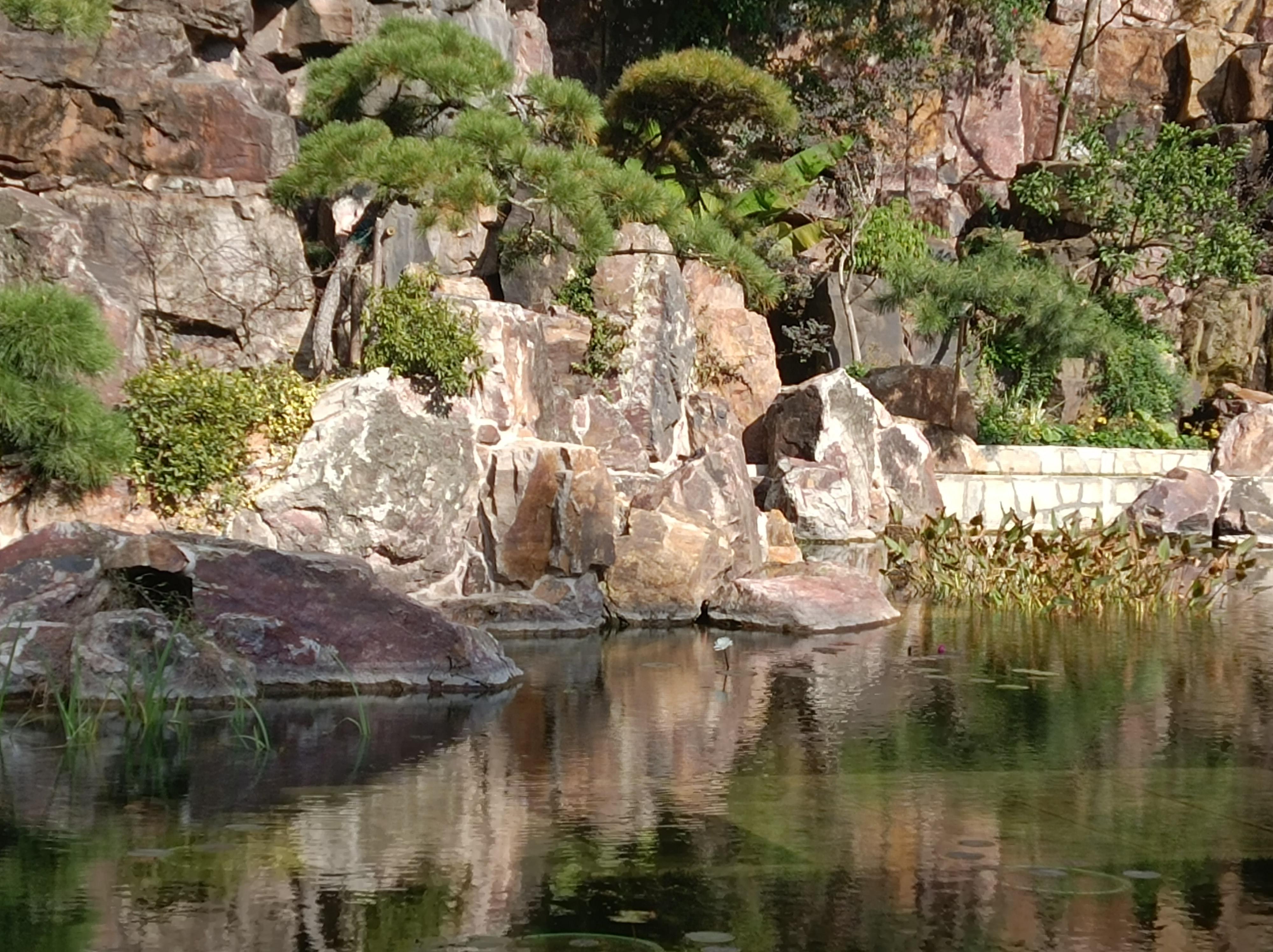 粗犷的公园 | 99所在城市:上海 br>90city walk 路线:大沽路 br>