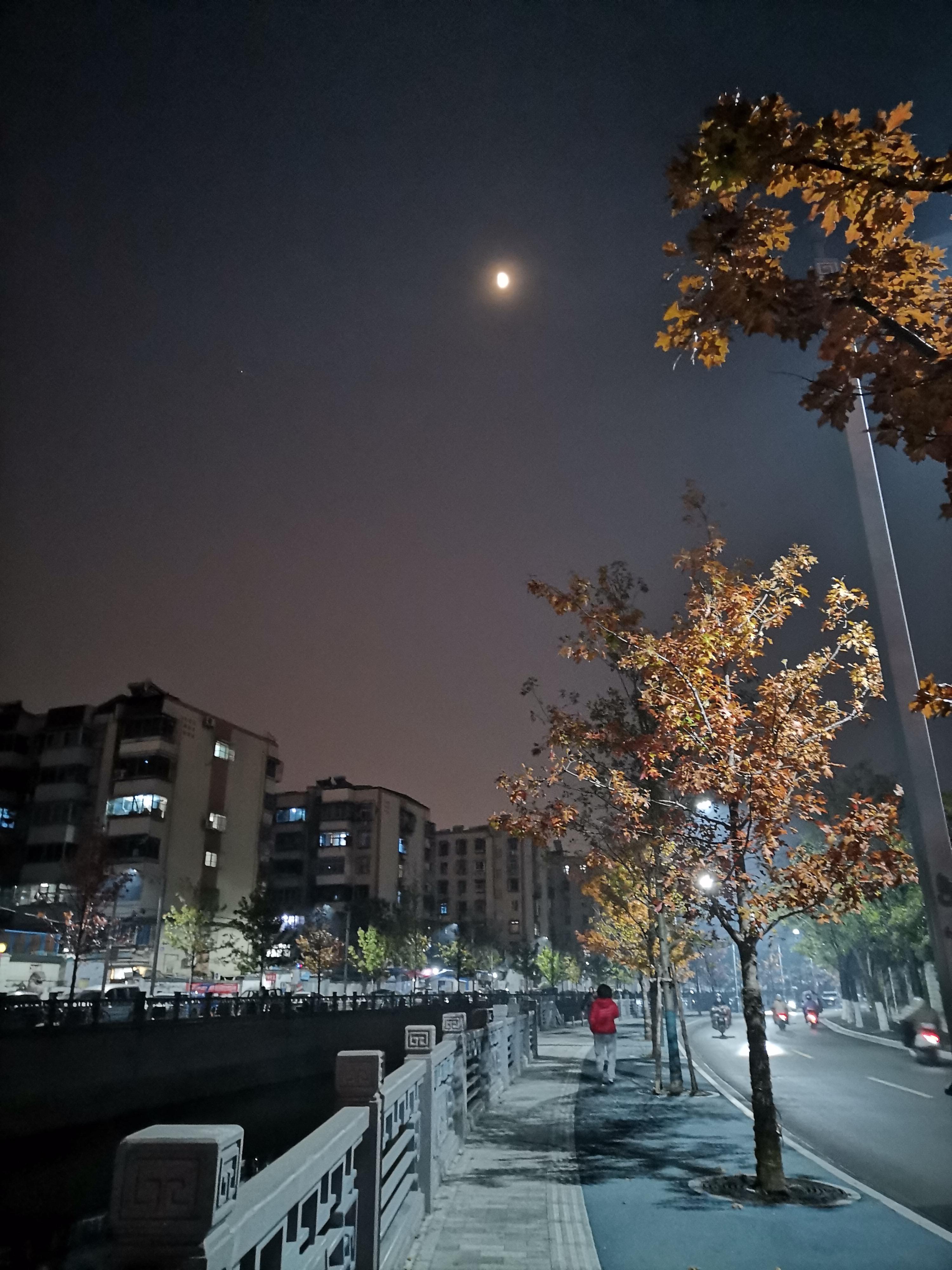 夏采 的想法: 朦胧夜,月朦胧