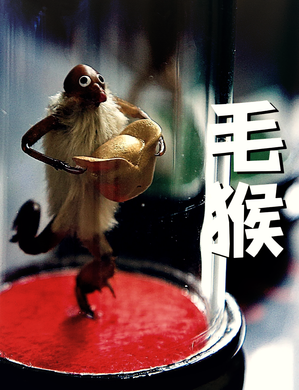 可可 的想法: 老北京毛猴