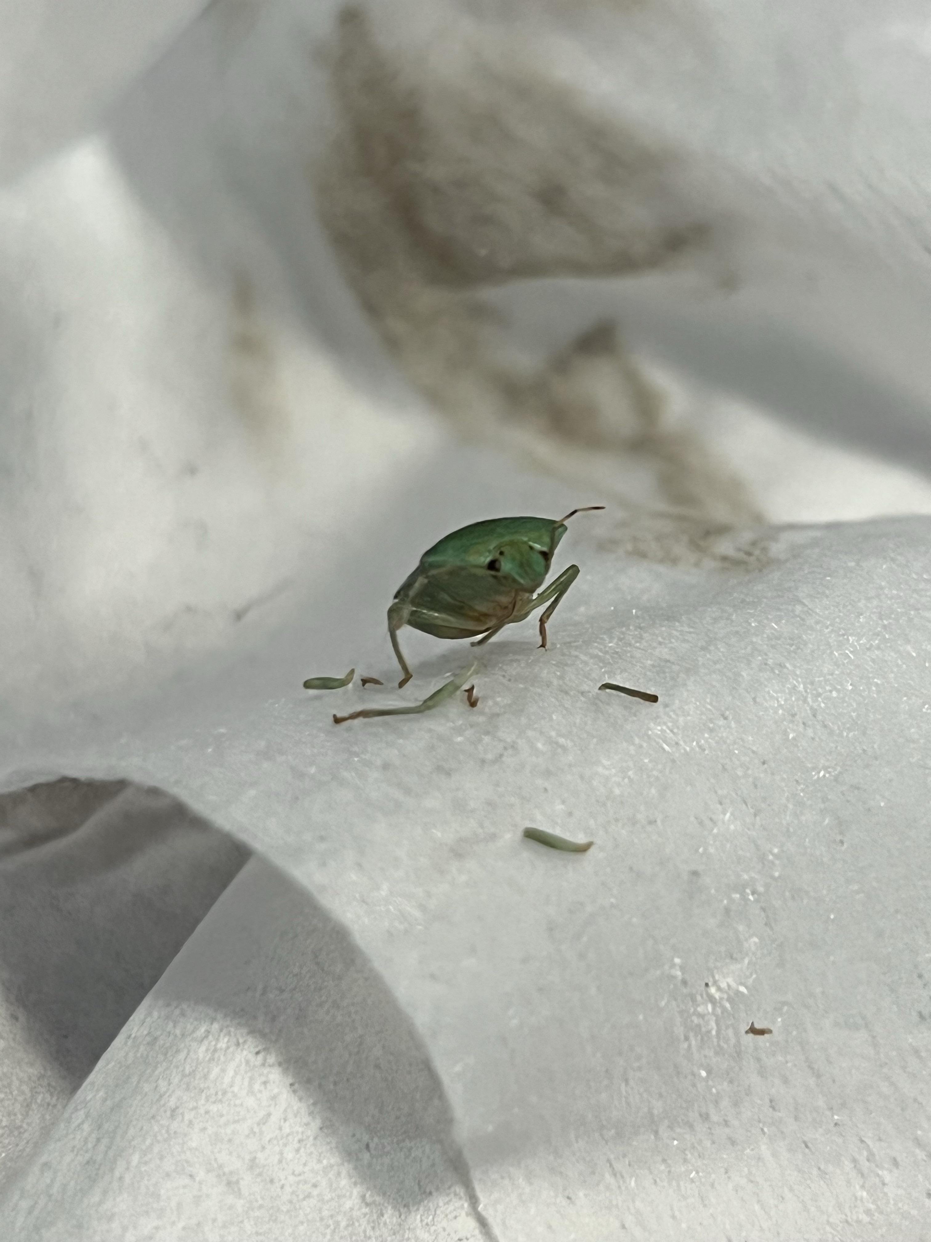 araxlovett 的想法: 在处理吊顶灯带的时候,发现了一