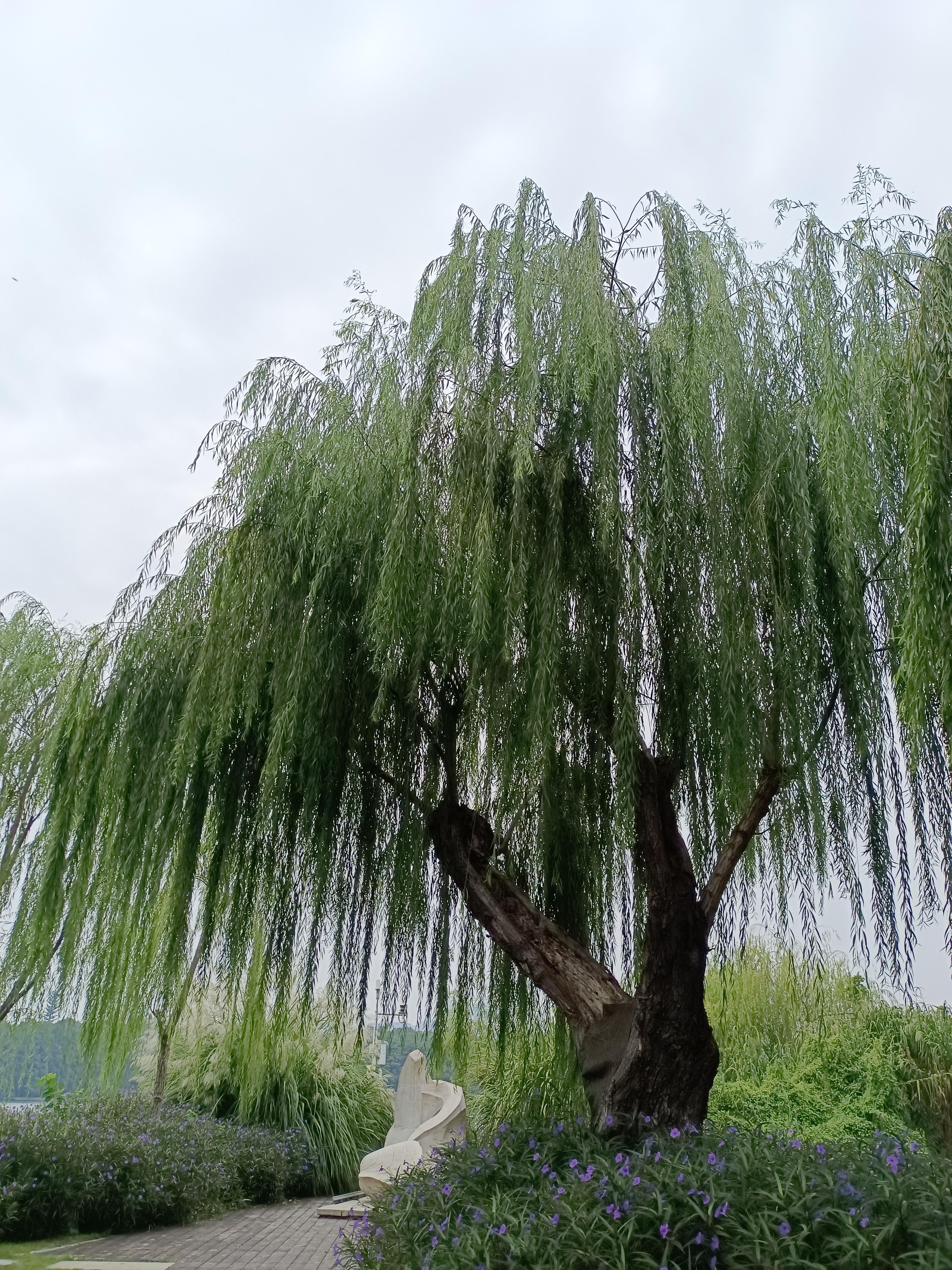 倩姐读书 的想法: 视角不同,所见即不同