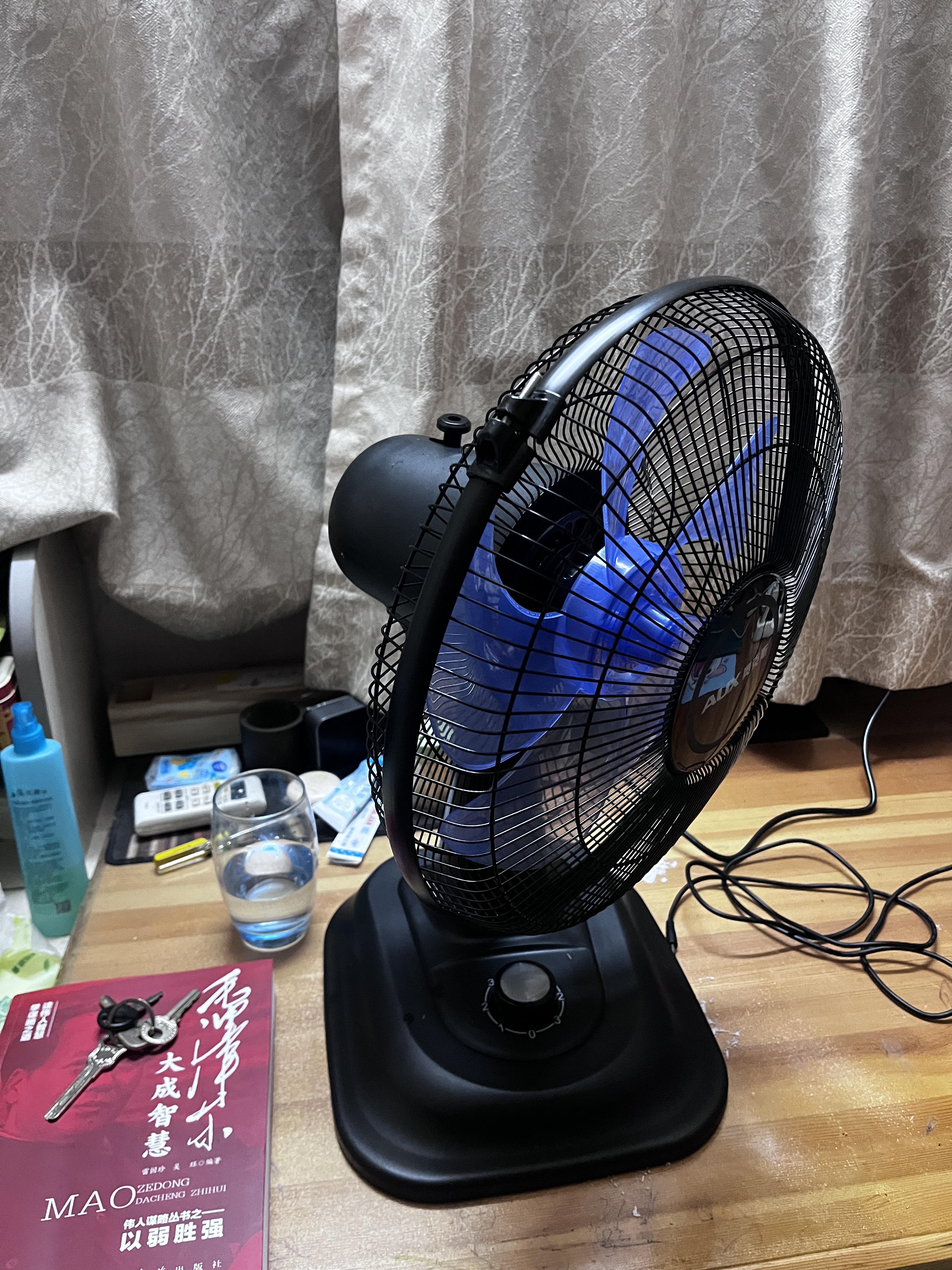 拼多多买了把摇头的风扇,想通过它,改变今年夏天