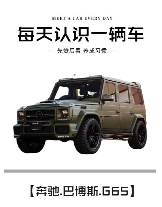 g65 br>最低售价:1000w 起90 br>11566奔驰有两个专属的改装