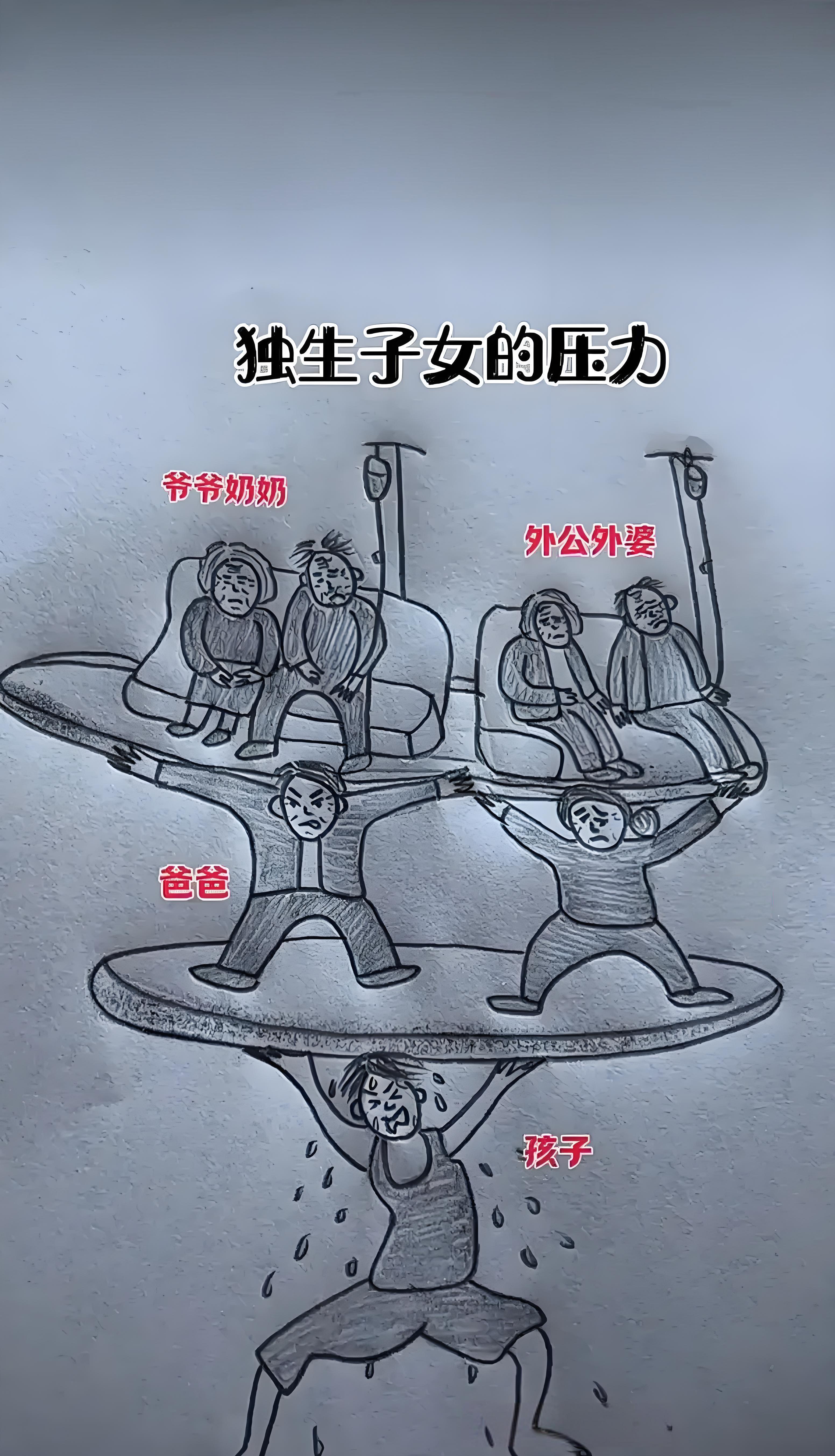 善良的蜜蜂 的想法: 独生子女的压力与无奈