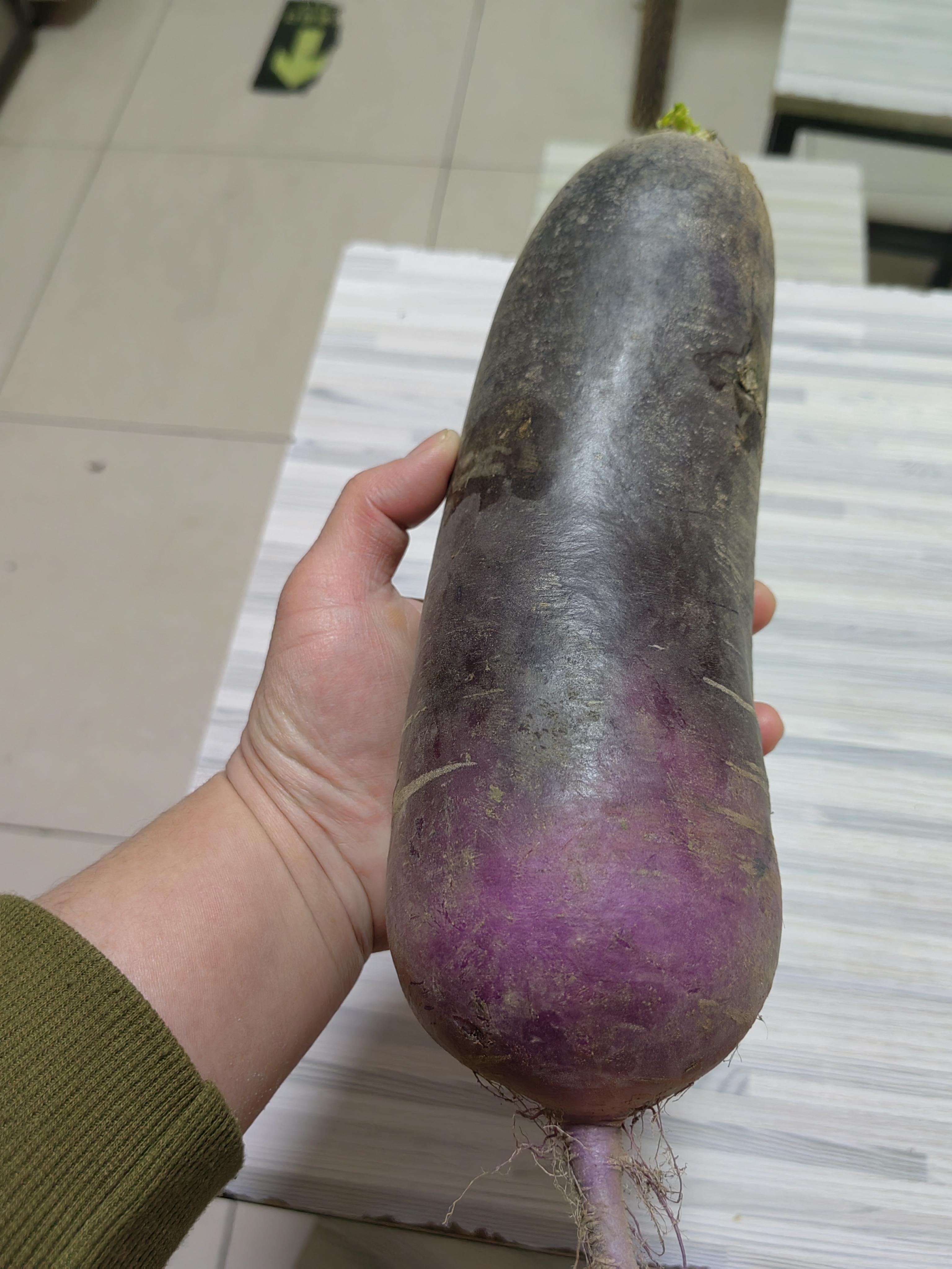 卿本娘娘 的想法: 一个萝卜8元,我咬一口不嚼成渣,我都不舍得往下咽.