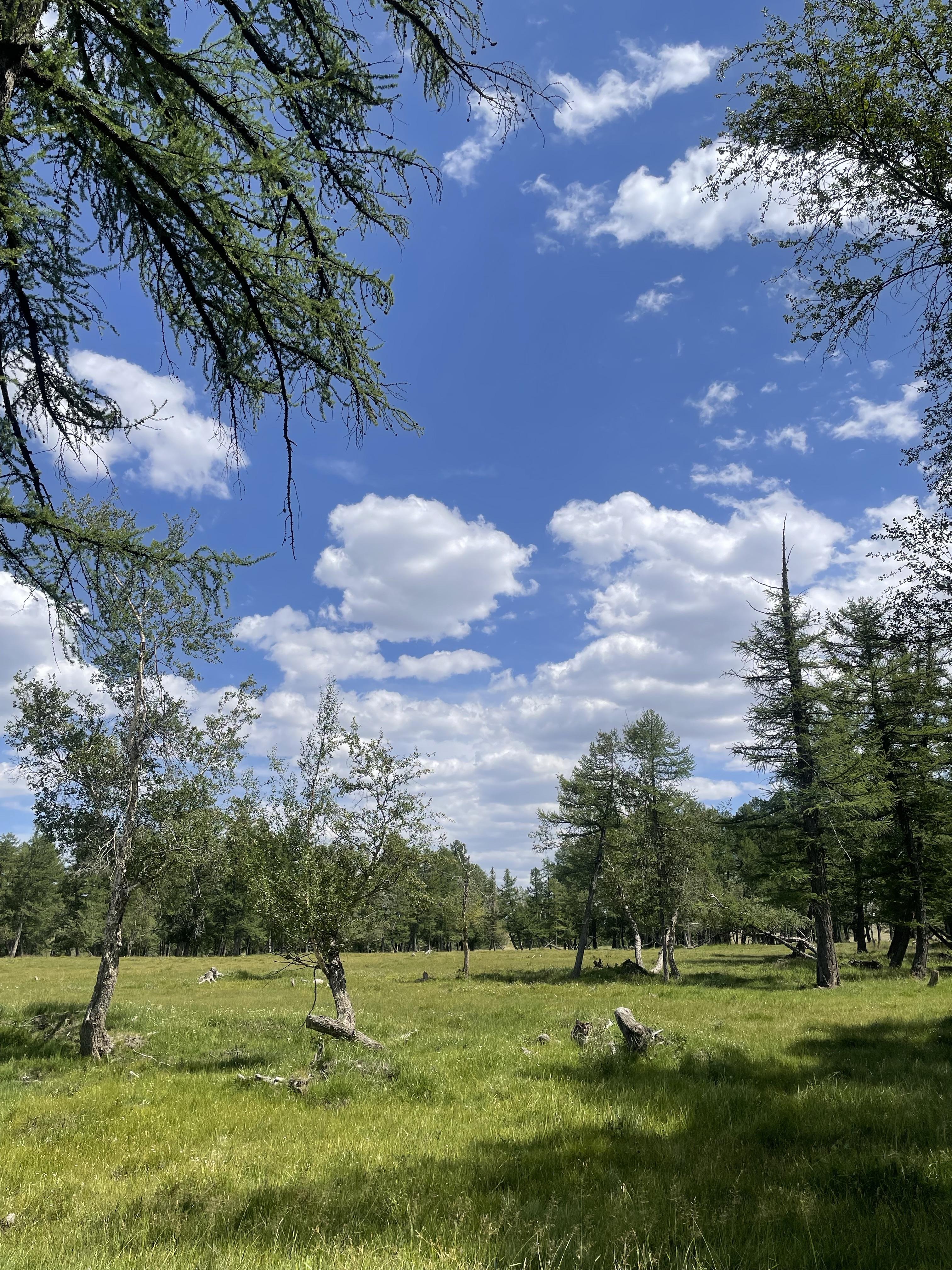 一年四季都有绝佳的风景. br>