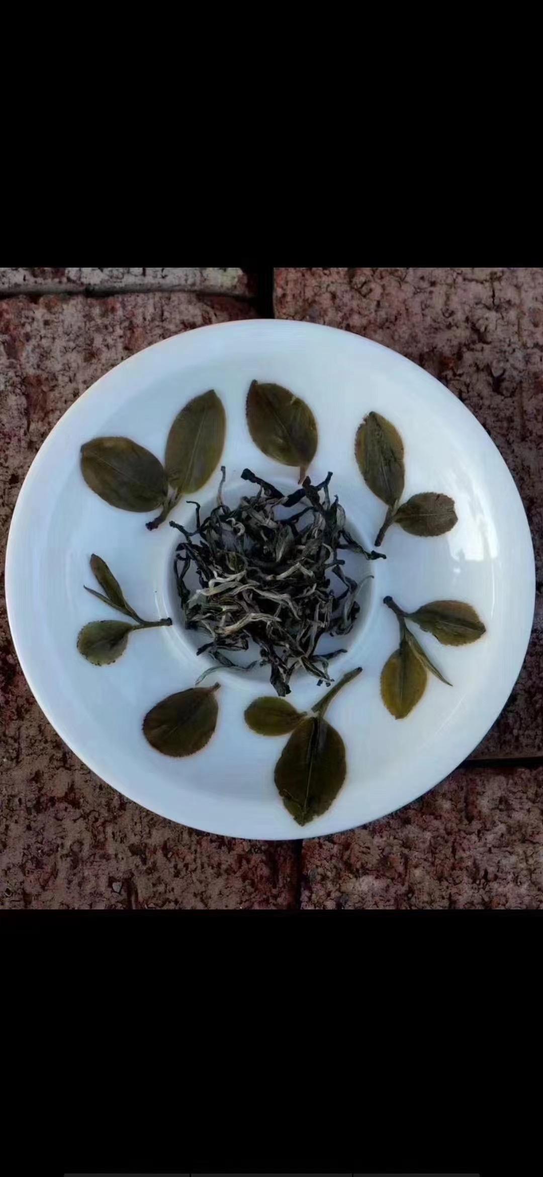 猫屎茶普洱茶图片