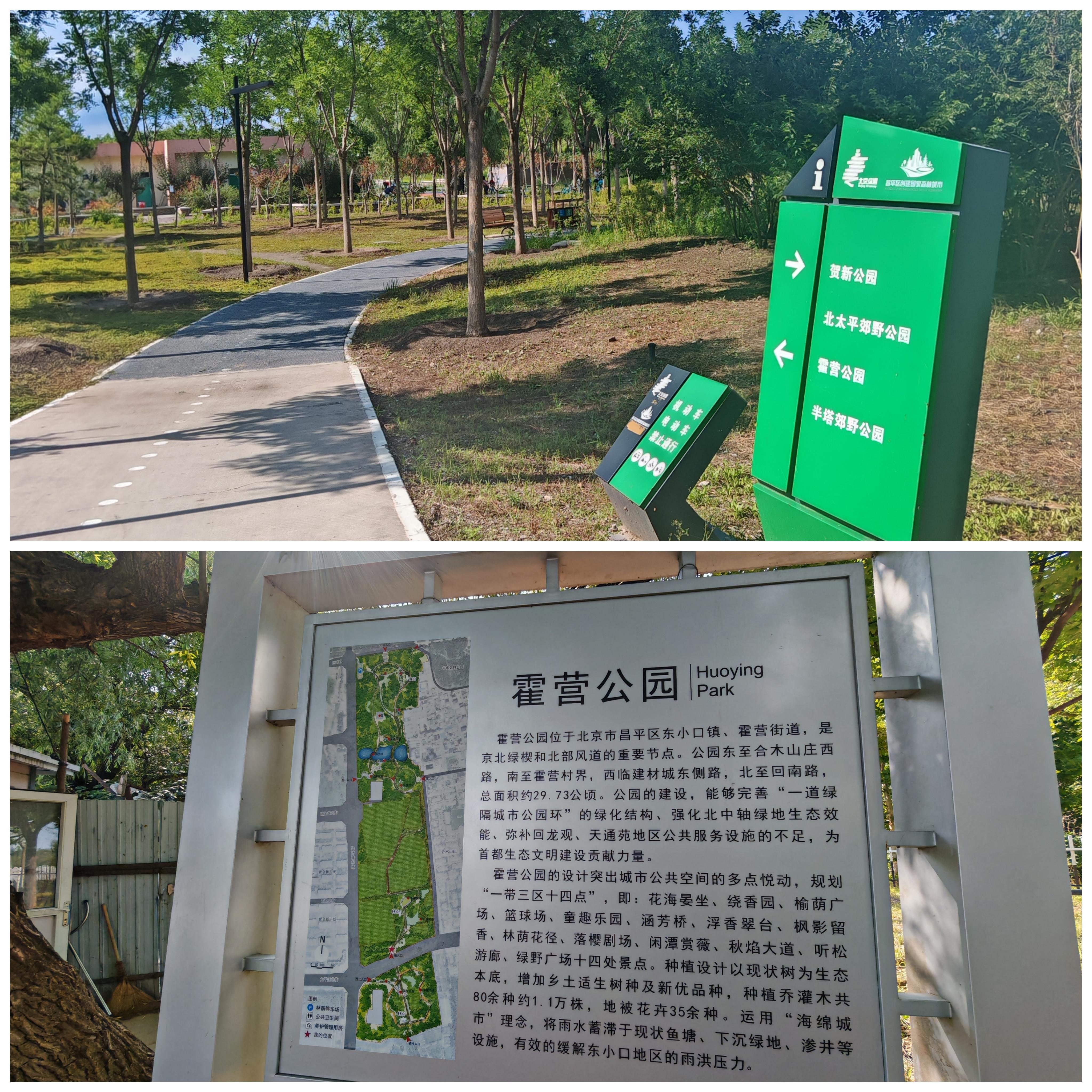 阳光 的想法: 昌平42公里绿道