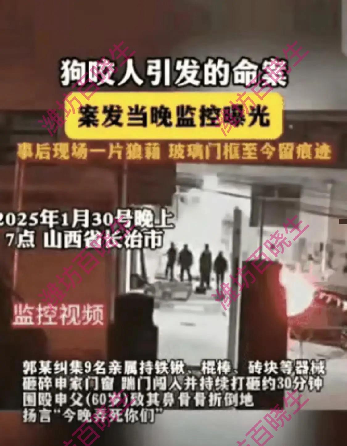 邻居监控揭山西狗咬人血案真相山西狗咬人事件邻居家的监控帮申某家