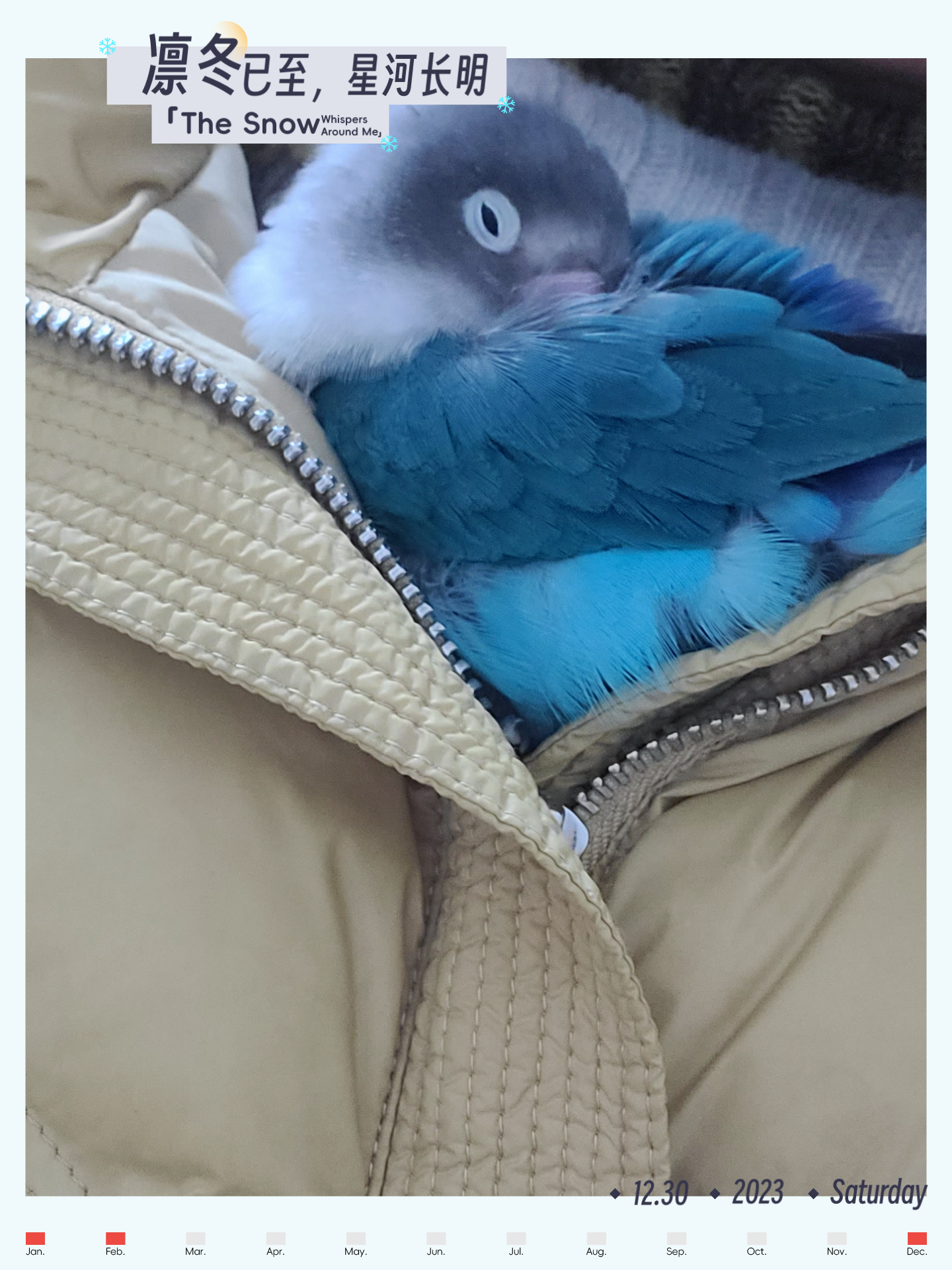 红太阳 的想法: 我们家活泼可爱的鹦鹉蓝羽