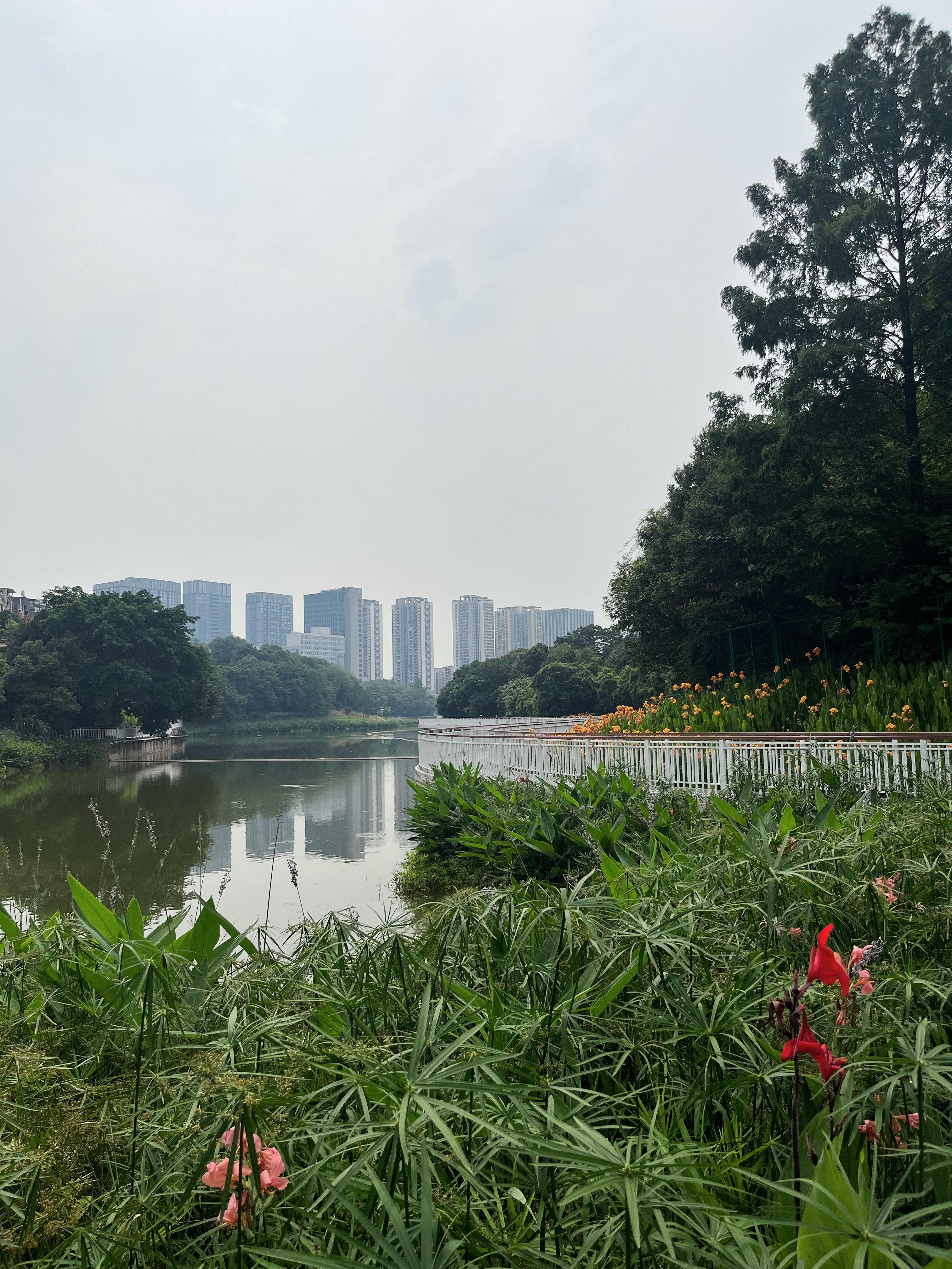 玲儿响叮当 的想法: 偶遇渝北区的金山公园,环湖逛了一圈,里面还有