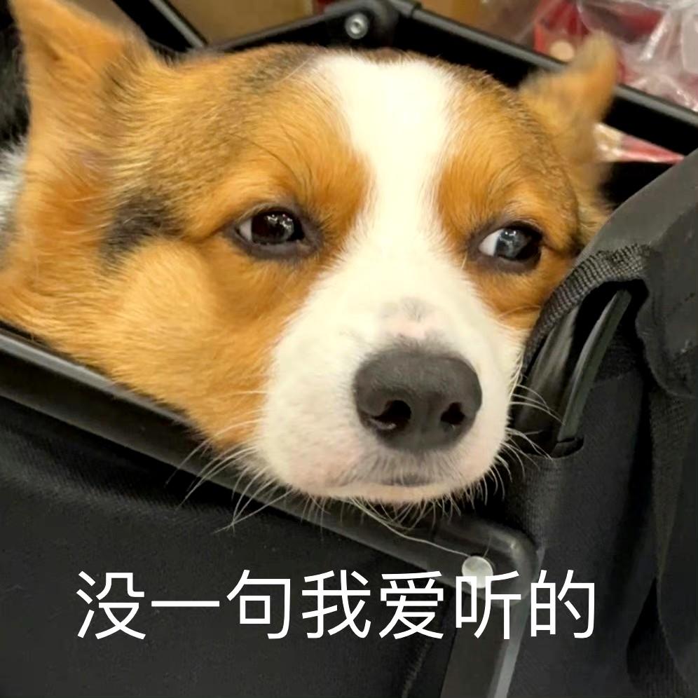 蜡笔小猪猪 的想法: 表示拒绝的表情包 | 对别人的言论表示极度不满时