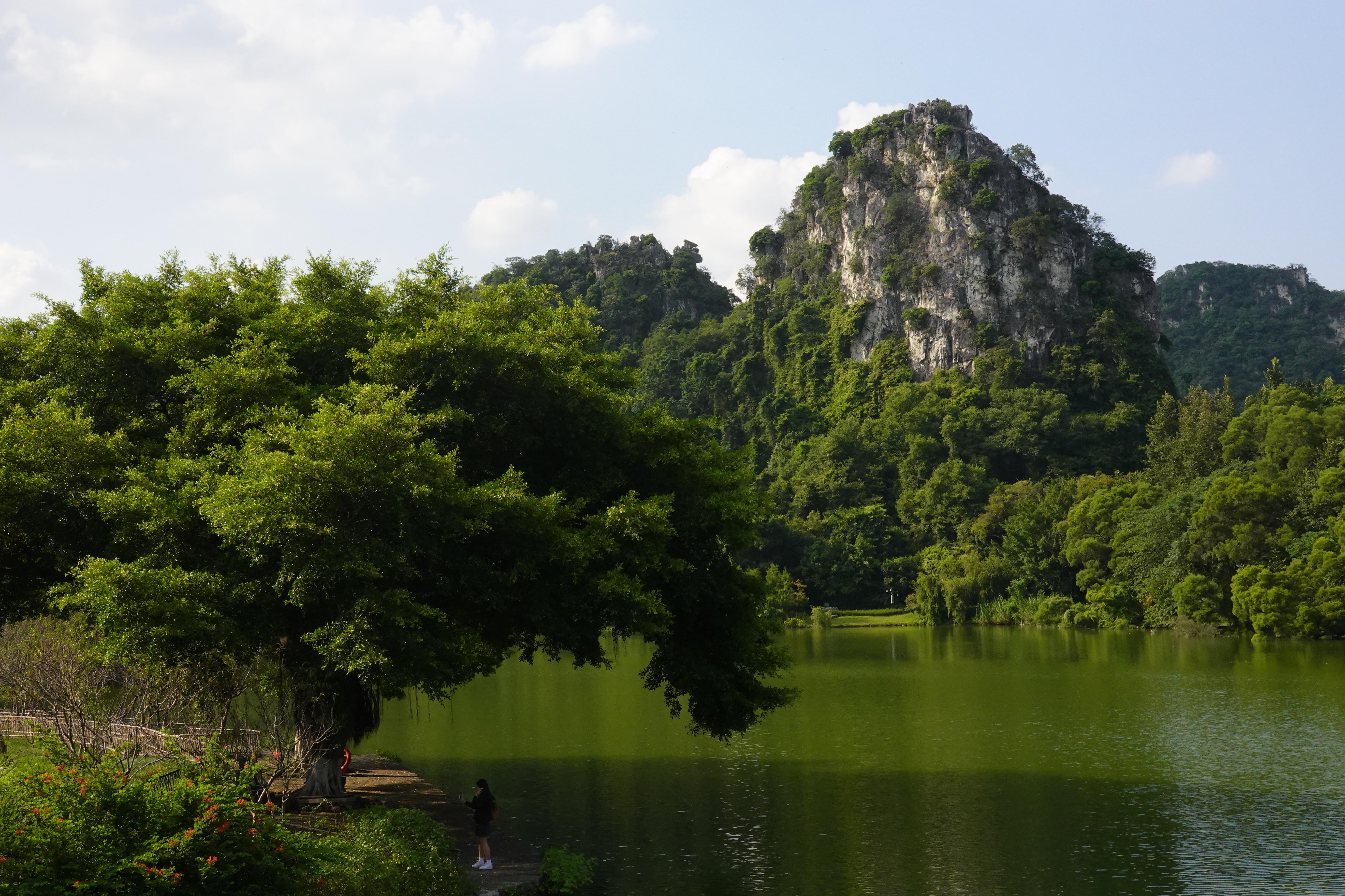 柳州市大龙潭公园图片