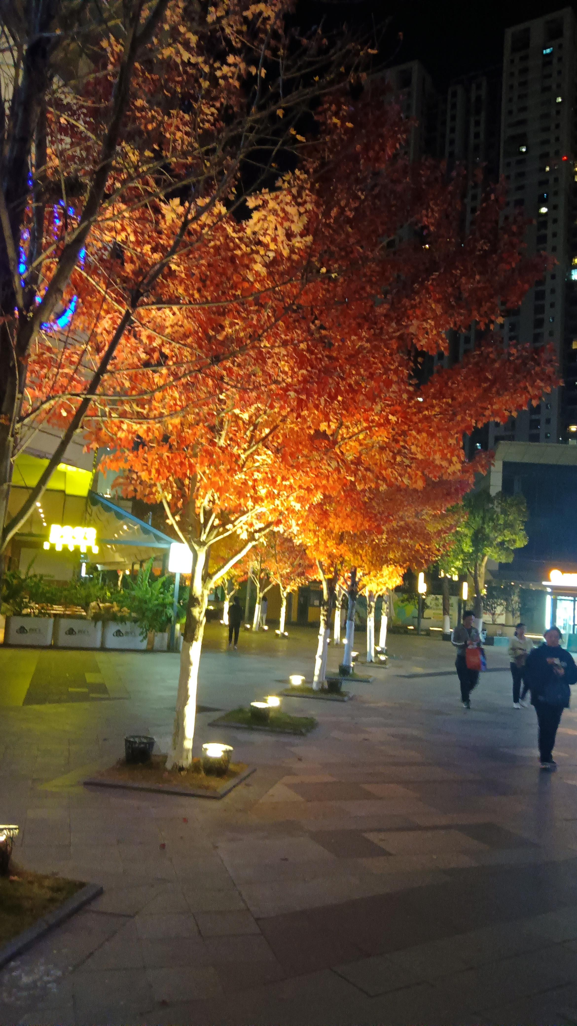 路灯夜景寂寞图片