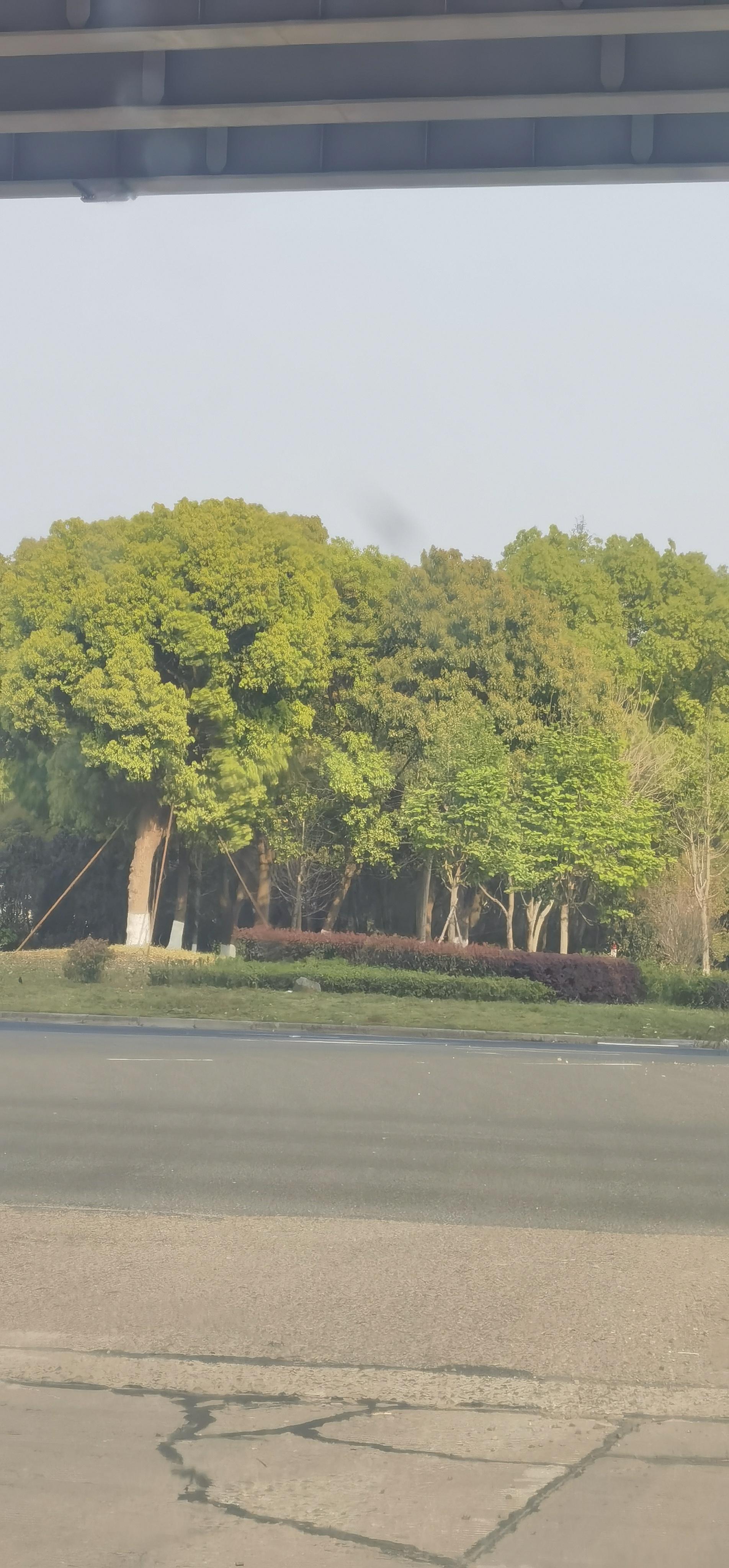 徐漫曼 的想法: 路上风景随手拍 | <a class="hash_tag" href="