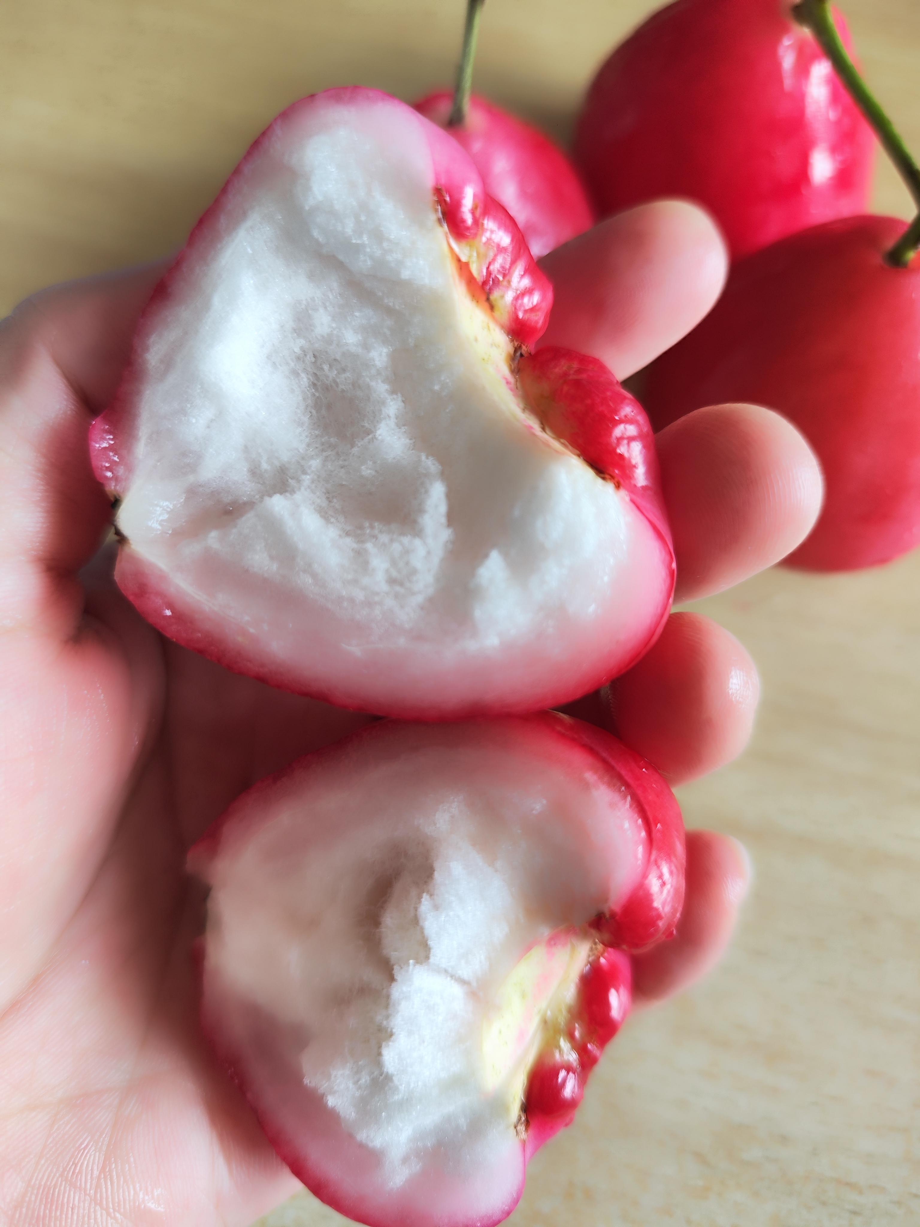 三原色 的想法: 南方绿化带水果