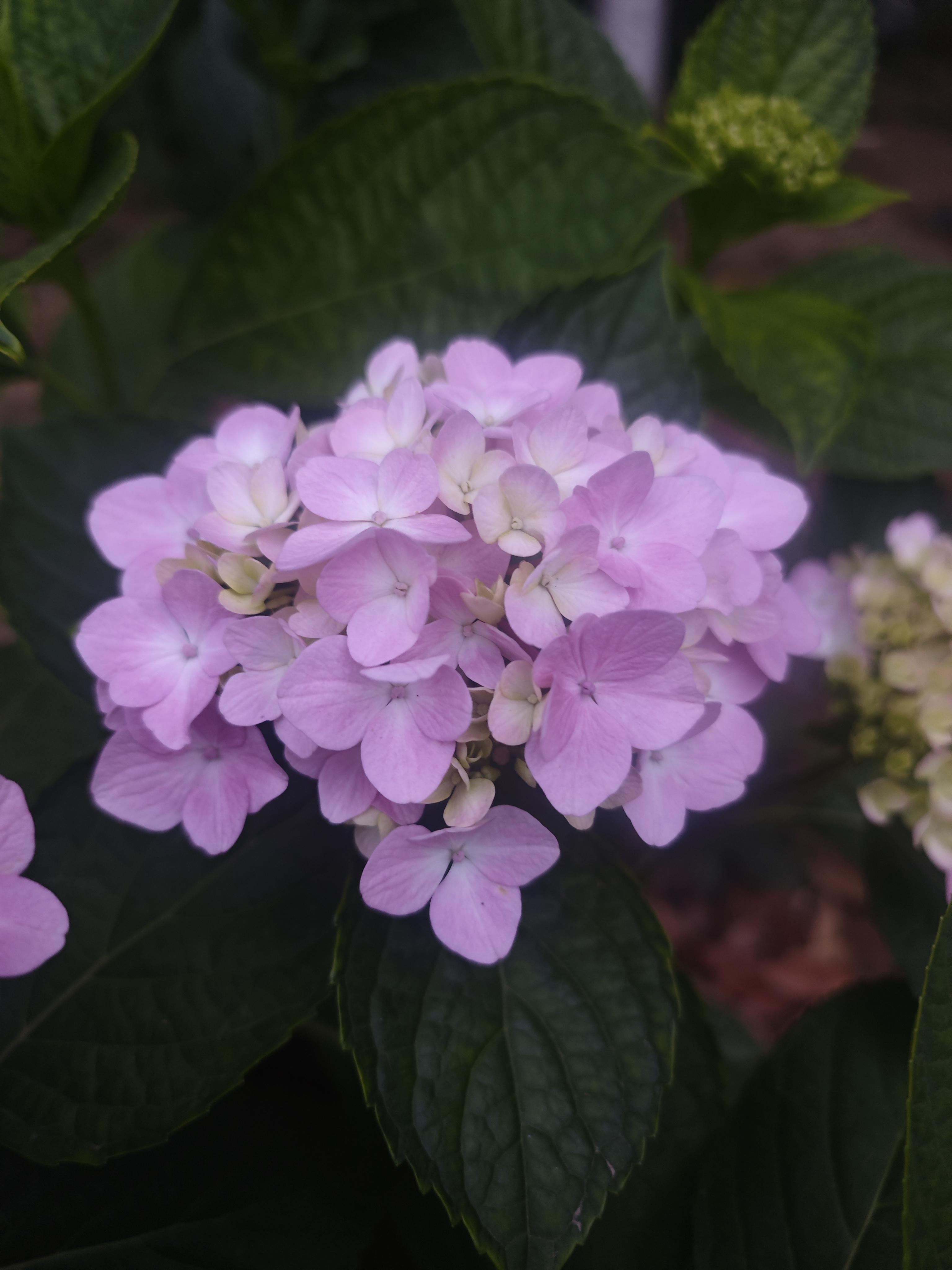 无言 的想法: 夏天🌸