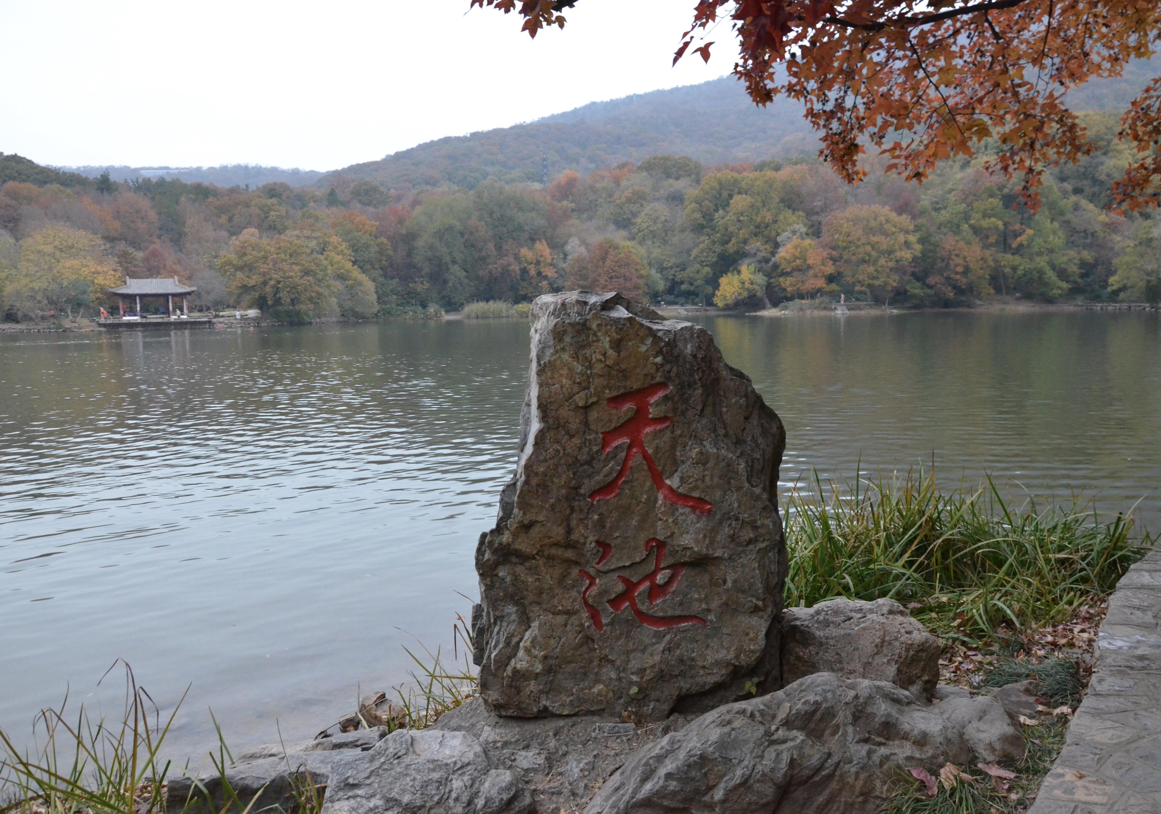 南之南 的想法: 冬日早晨的紫霞湖 | 98地点:南京紫金山 br>74