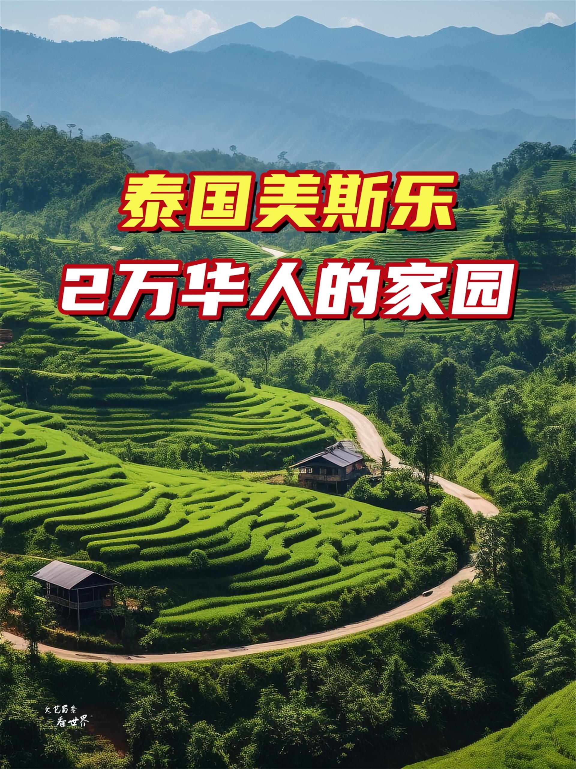 文艺蜀黍看世界 的想法: 金三角地区泰国美斯乐,竟是2万华人的家园