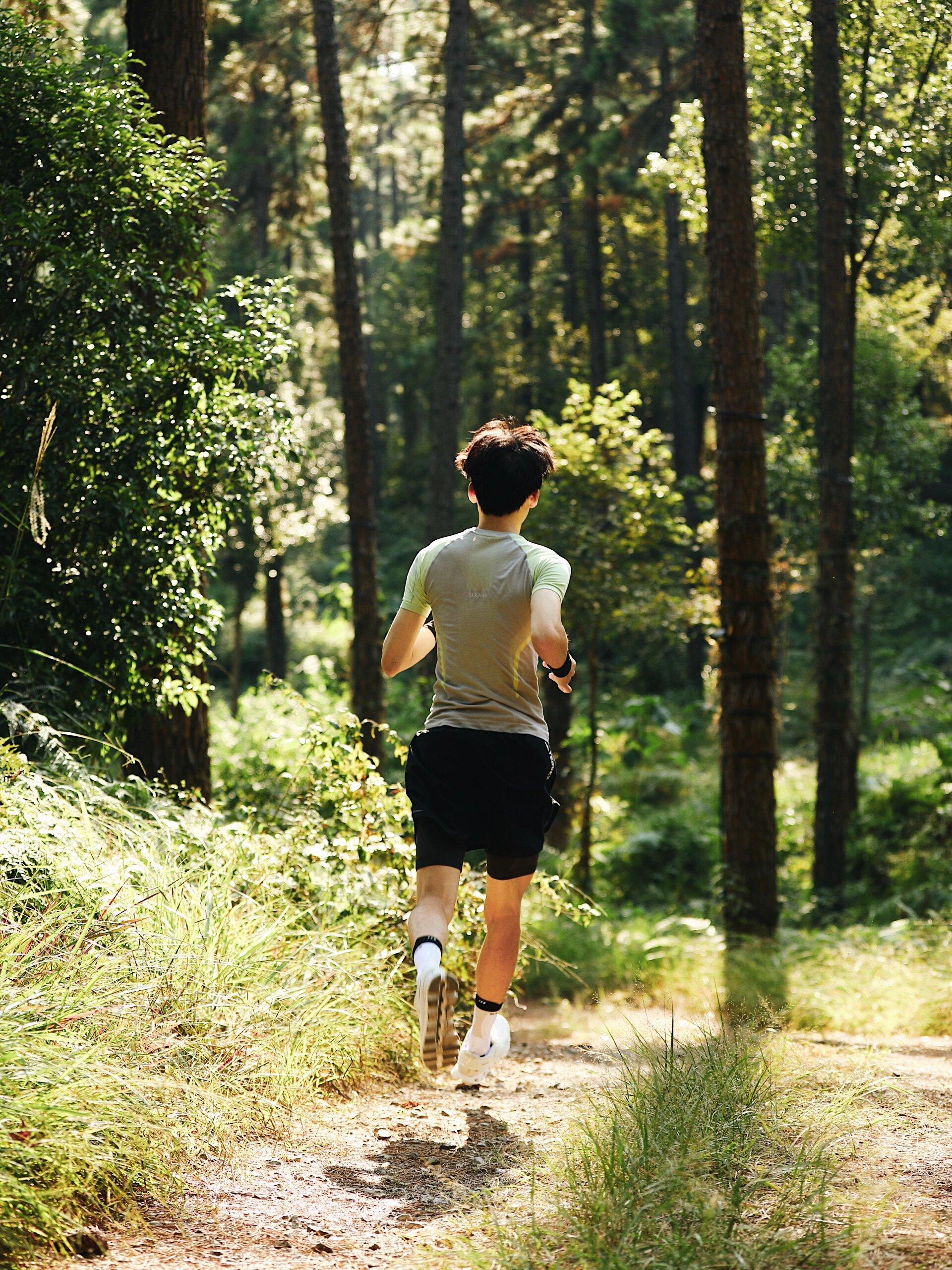 zero 的想法: 在森林里大口跑步吸氧,为我的首马做准备 | 9499我