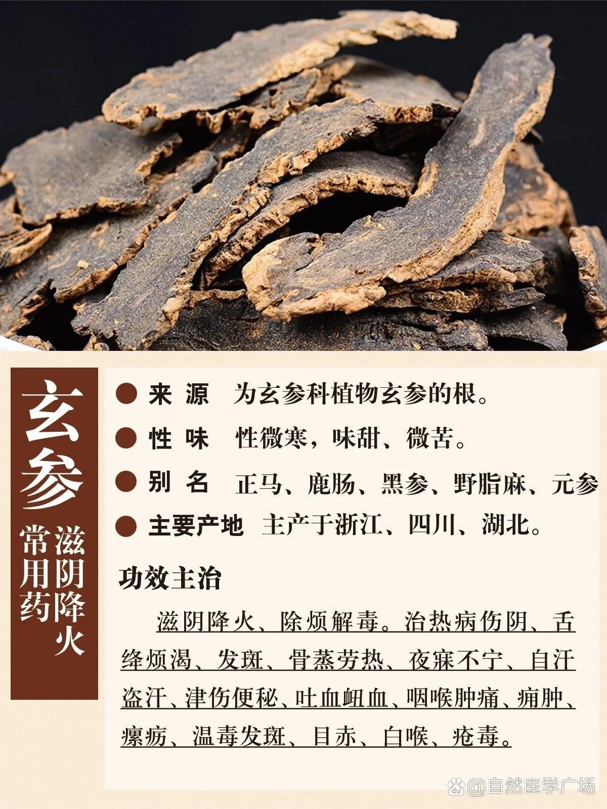 玄参归经图片