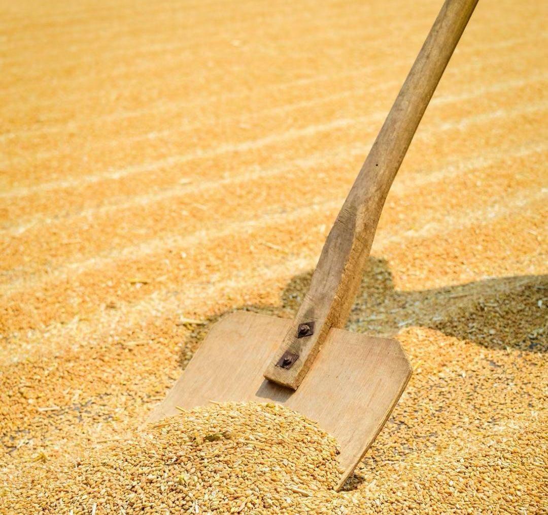 金马 的想法: 古代晒麦子扬场的工具,你见过吗?