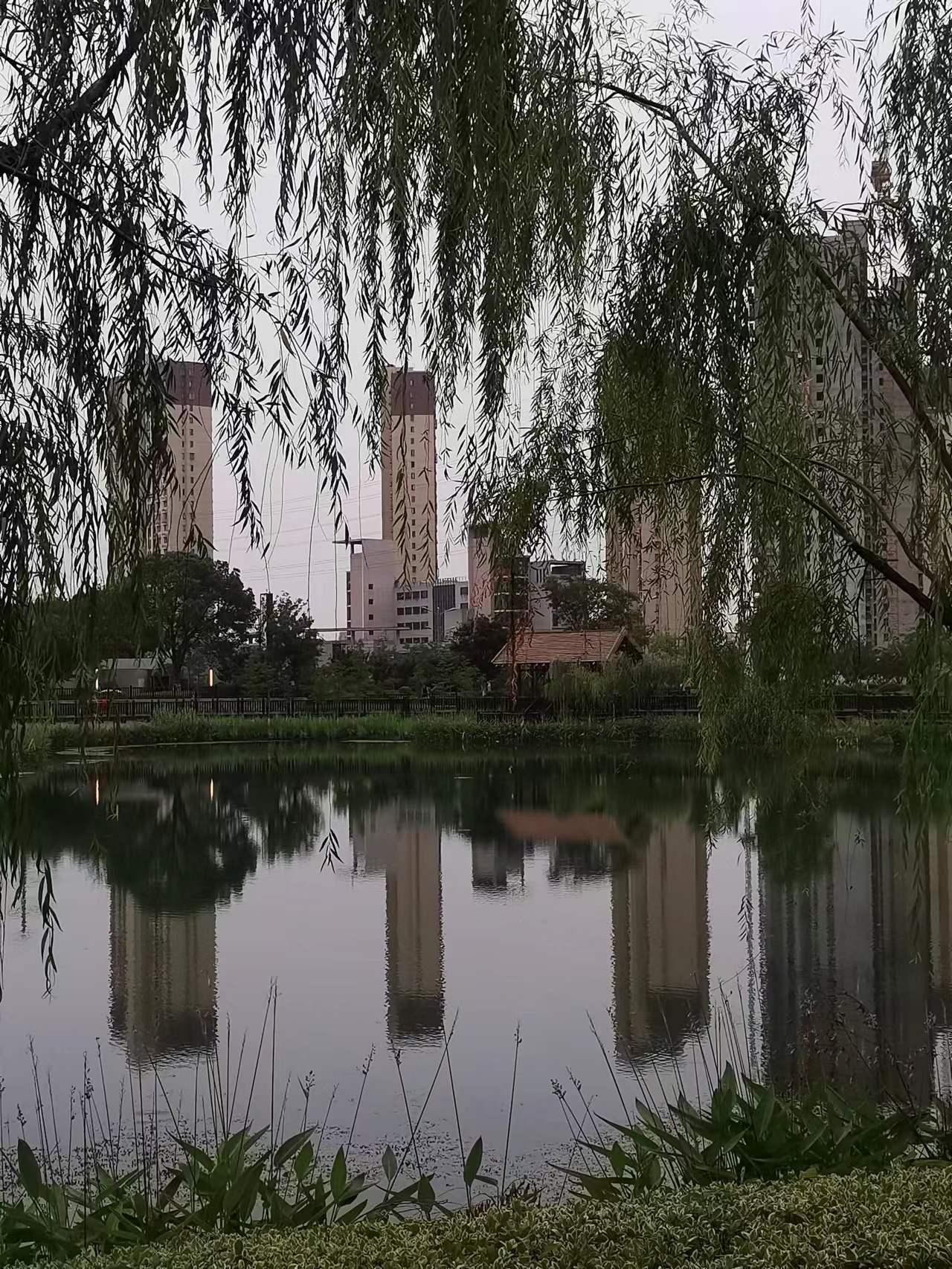 原来家门口的人工湖叫孟家湾湿地公园傍晚时分出来走走任晚风吹拂不复