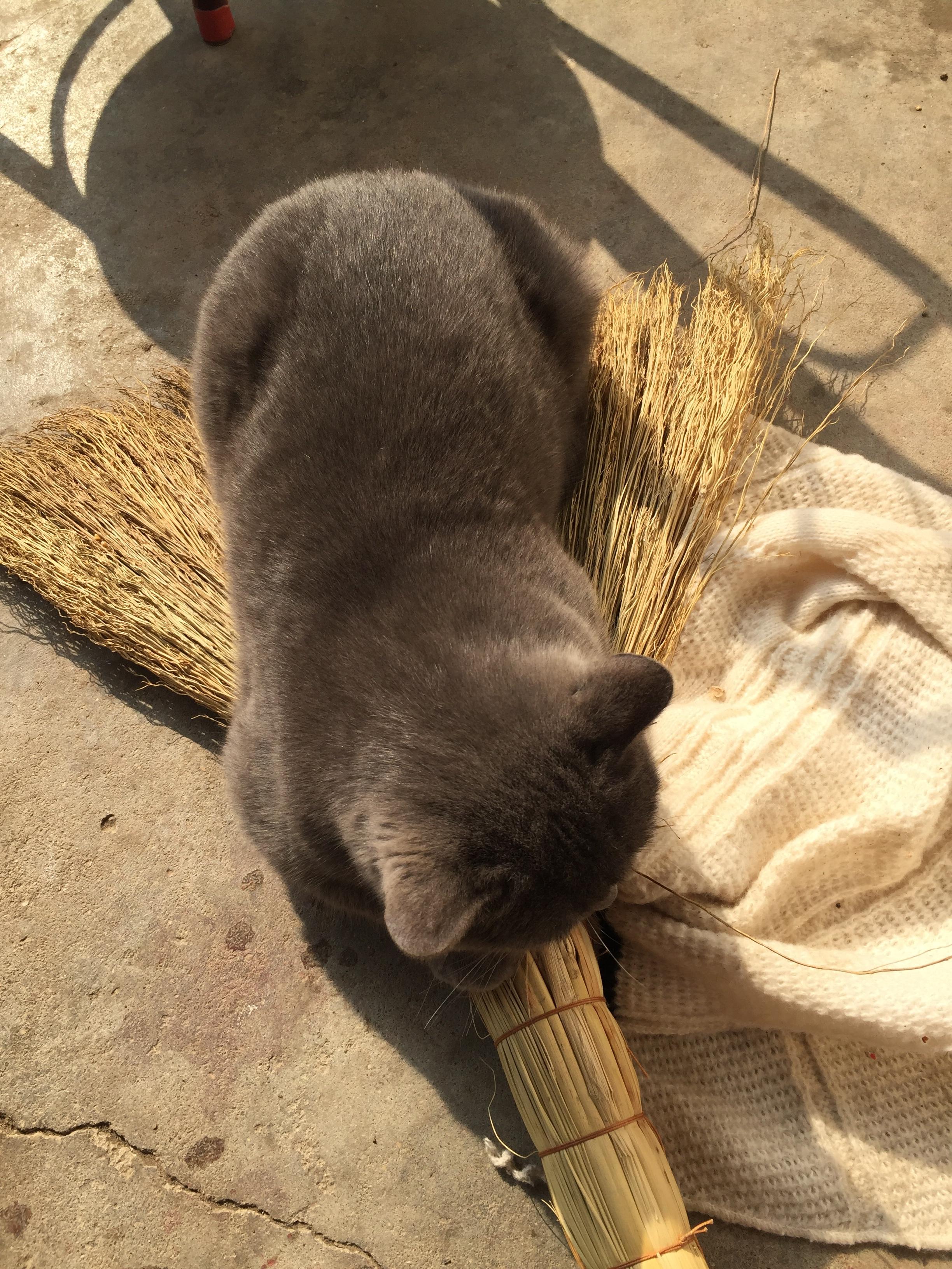 首页 知乎知学堂 发现 等你来答 67 切换模式 登录/注册 零点风云