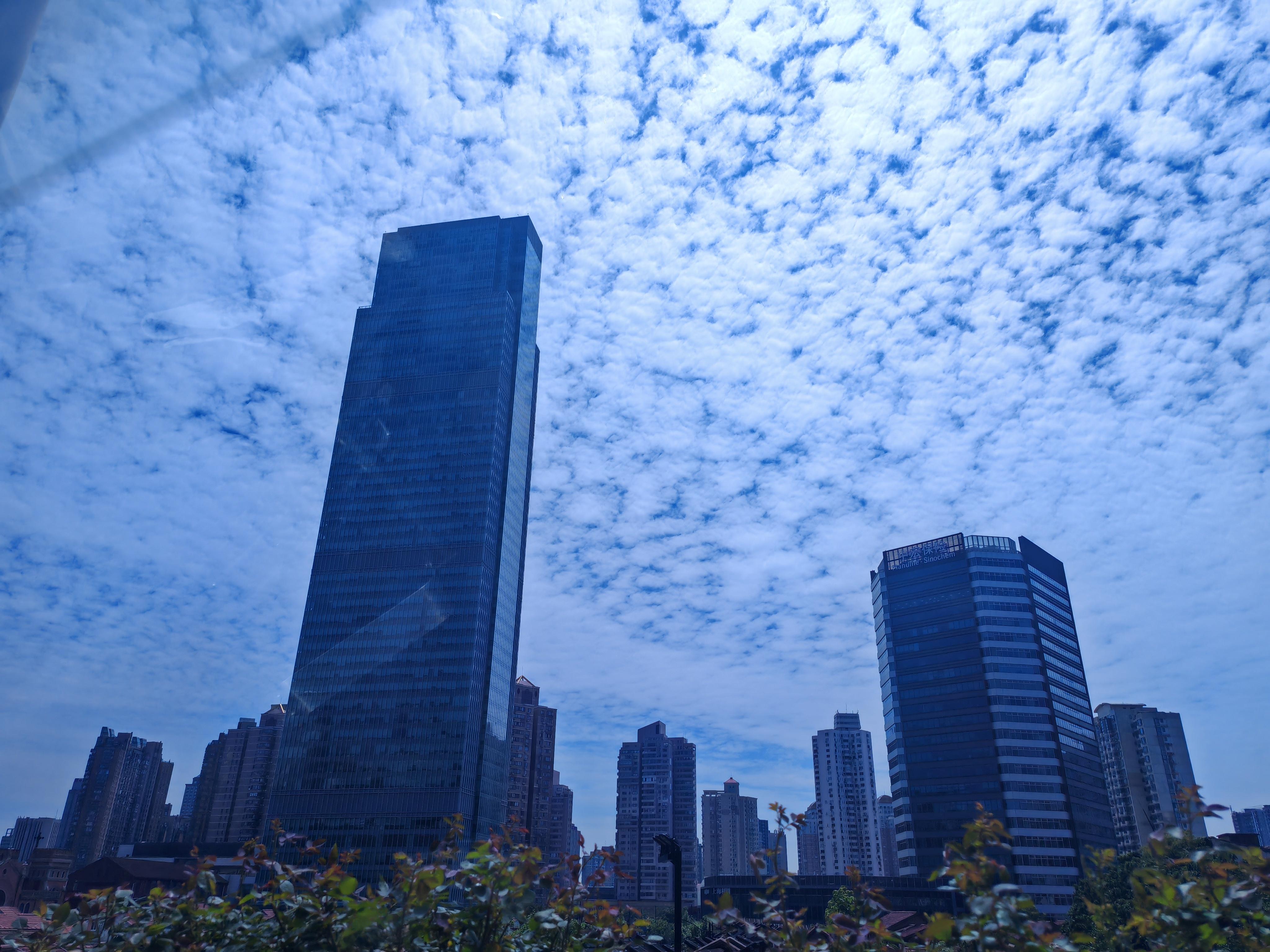 午后的上海,白云把蔚蓝的天空铺满,林立的高楼