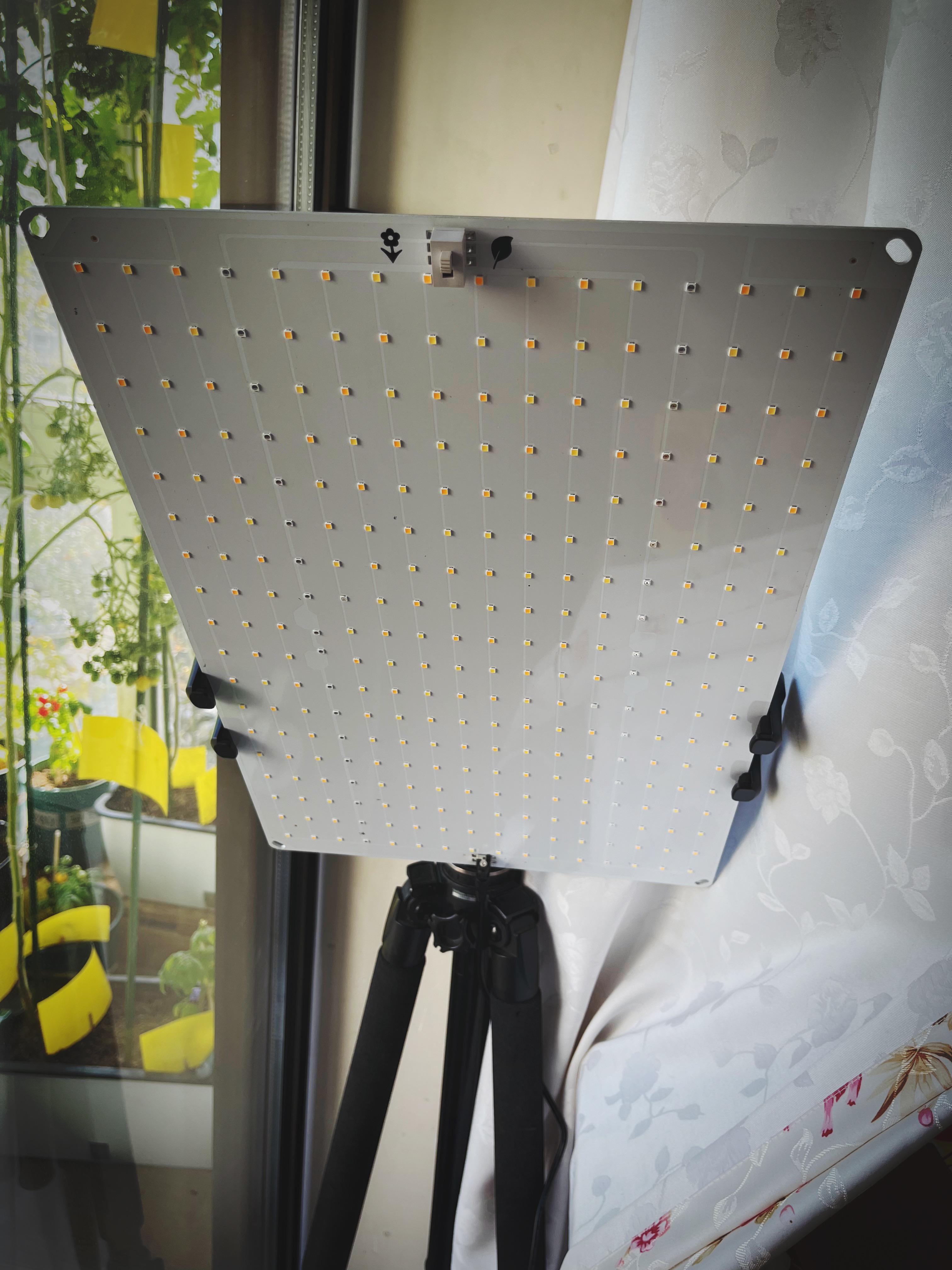 90 | 光照不足外加气温骤降,决定升级补光灯!