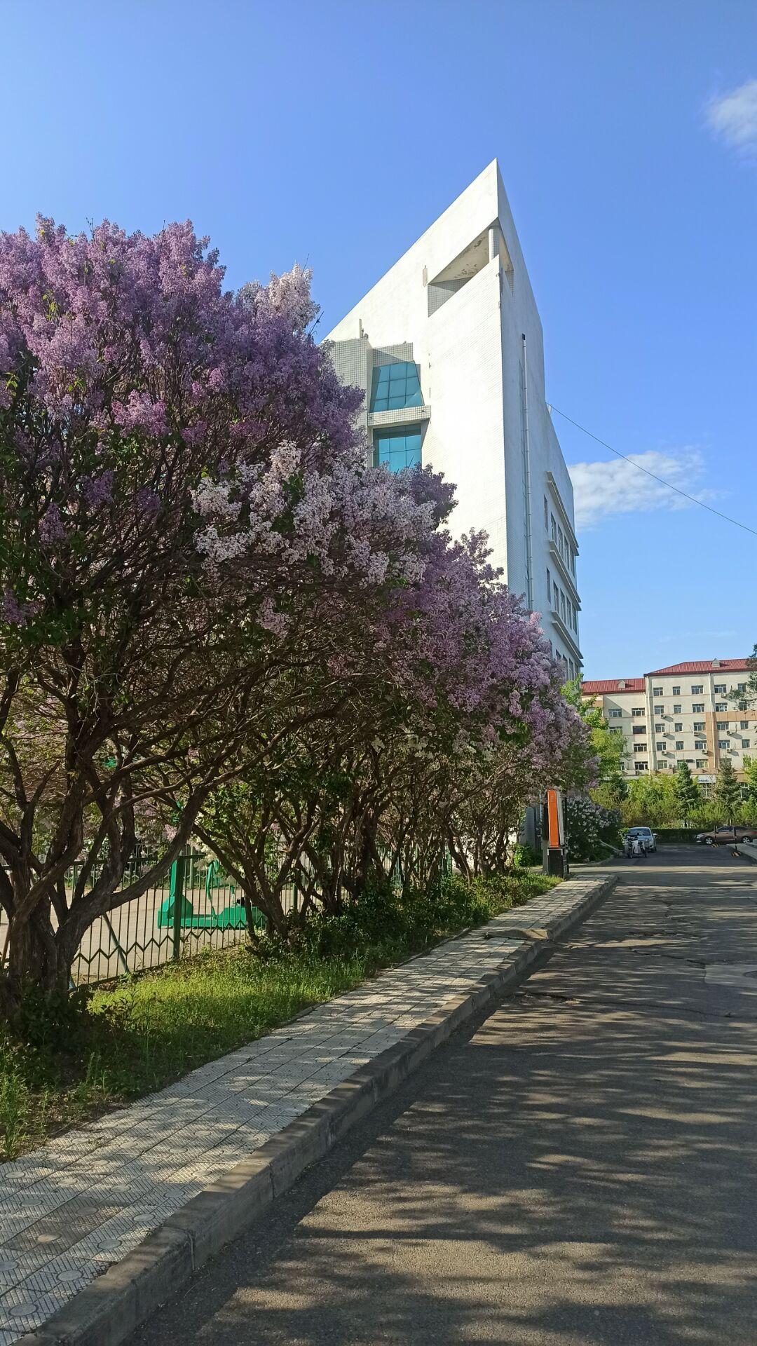 齐齐哈尔大学国际交流合作处留学在线 齐齐哈尔大学国际交流合作处留学在线
