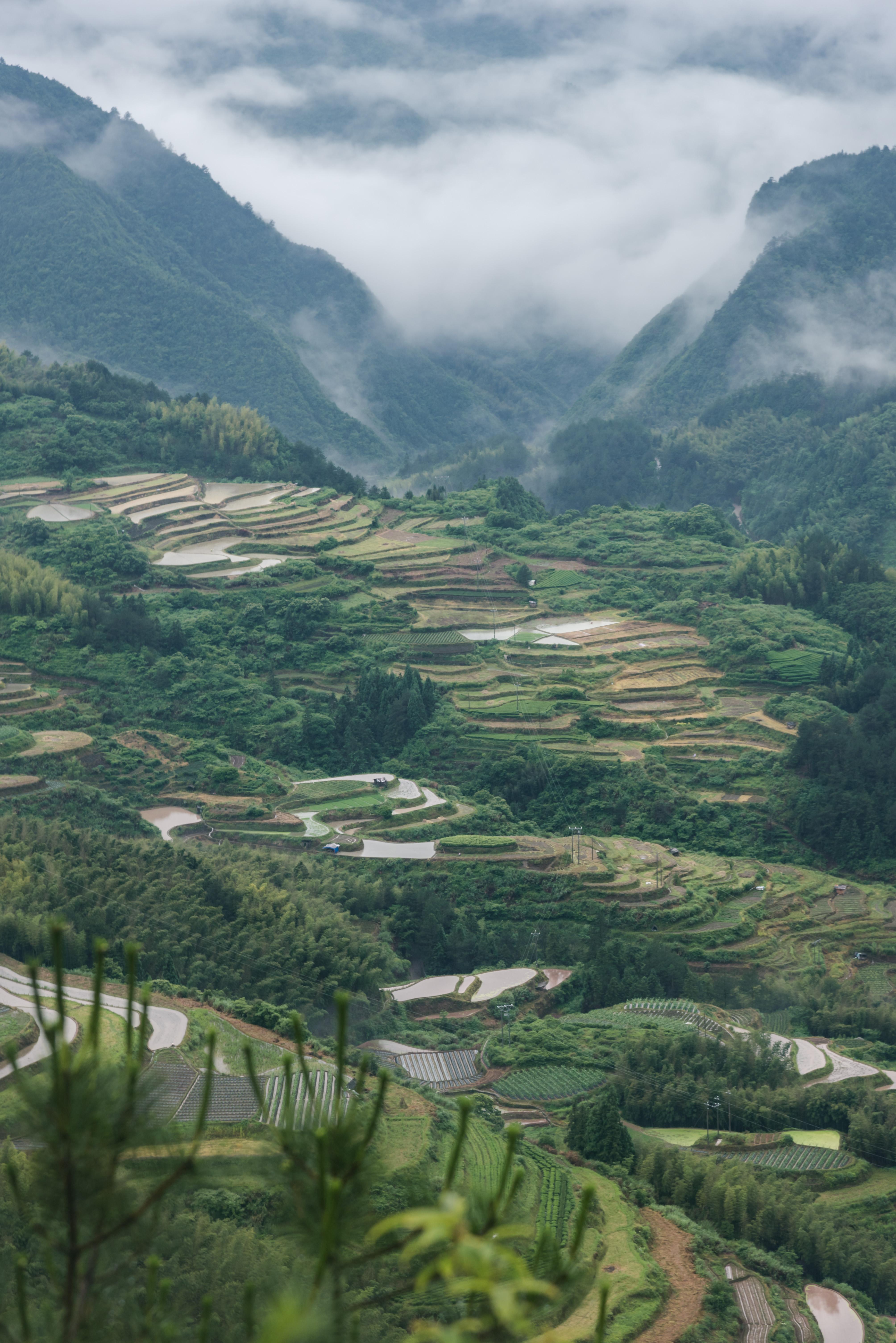 的想法: 翻山越岭:在浙南小众仙境看了99次云海