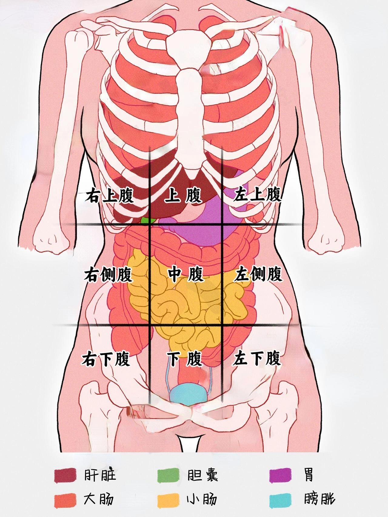 中医主任刘洪超 的想法: 不同部位的肚子疼,都代表什么问题?