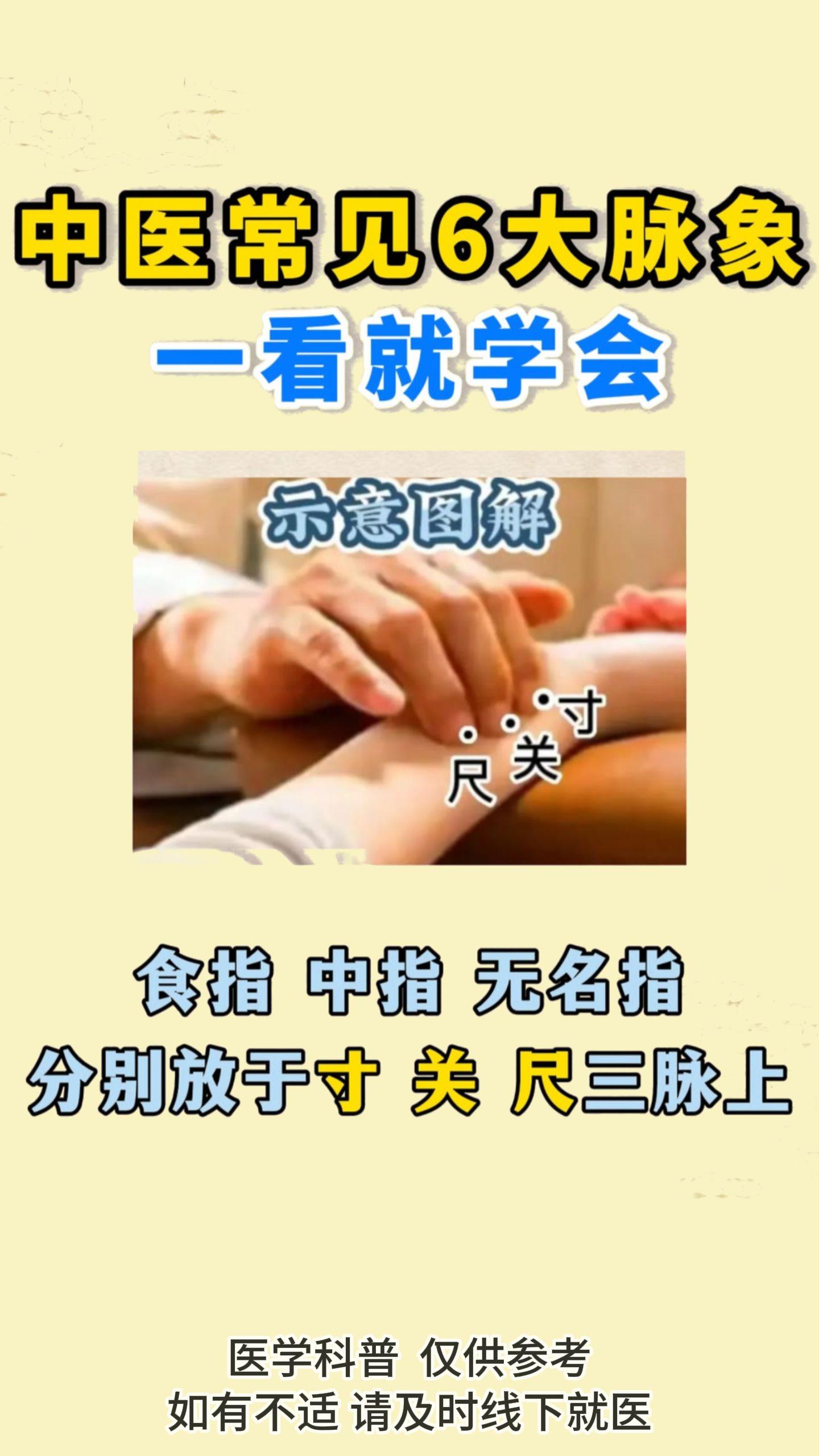 的想法: 93中医6大脉象轻松辨99697115 br> br>91 寸关尺