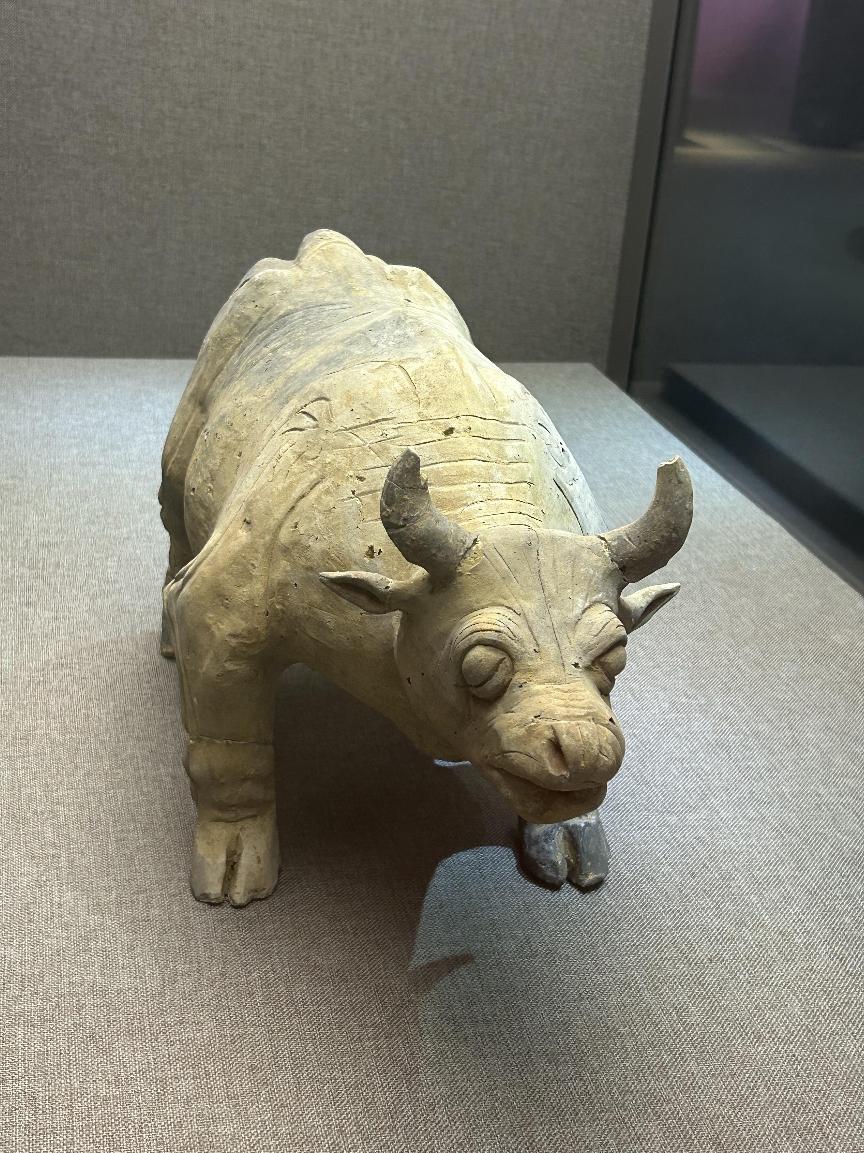 飞行的书卷 的想法: 贵州兴义博物馆的一级文物