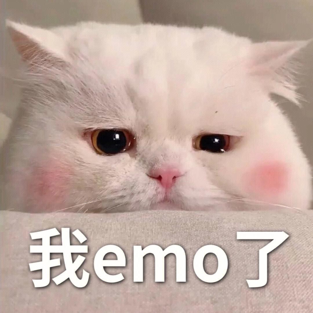yoyo 的想法: 表情包 | 大家一起分享可爱表情包  a class="hash_tag"