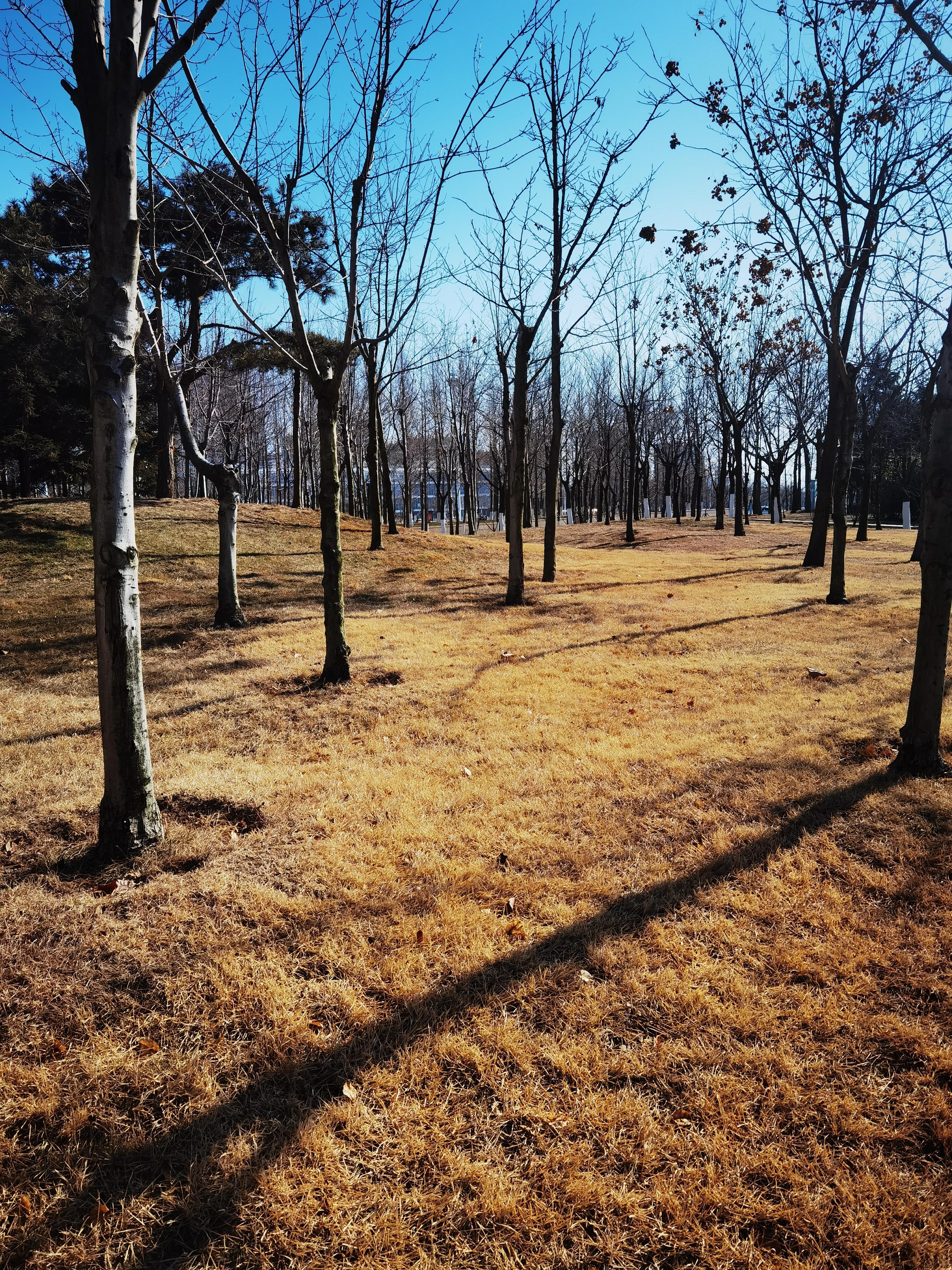 冬天来了,春天还会远吗?