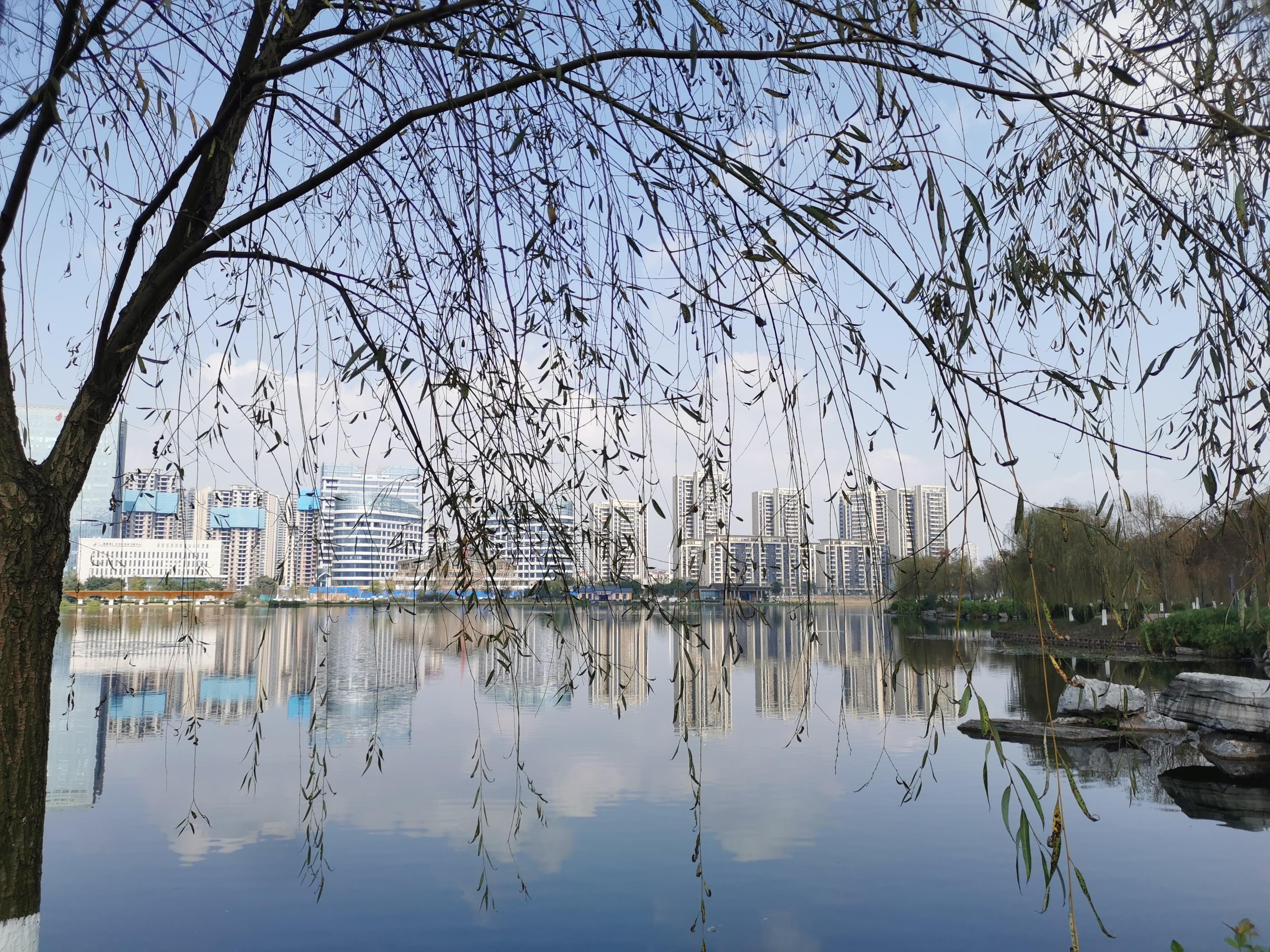 蛮蛮 的想法: 深呼吸~ | 98地点:泸州渔子溪生态湿地公园 br>74