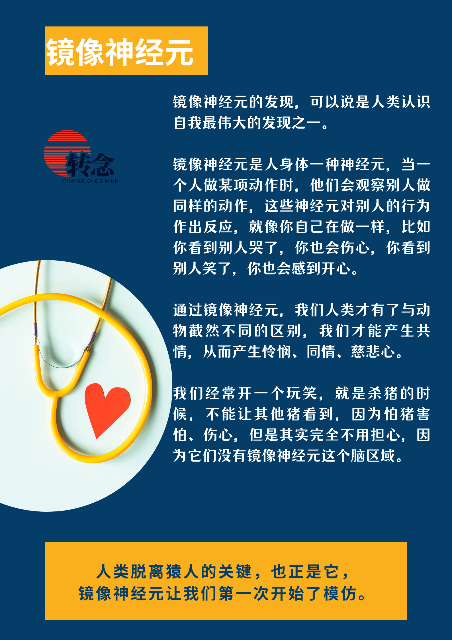 转念心理 的想法: 人类模仿是一种高级的模仿,人类的爱也是 - 知乎