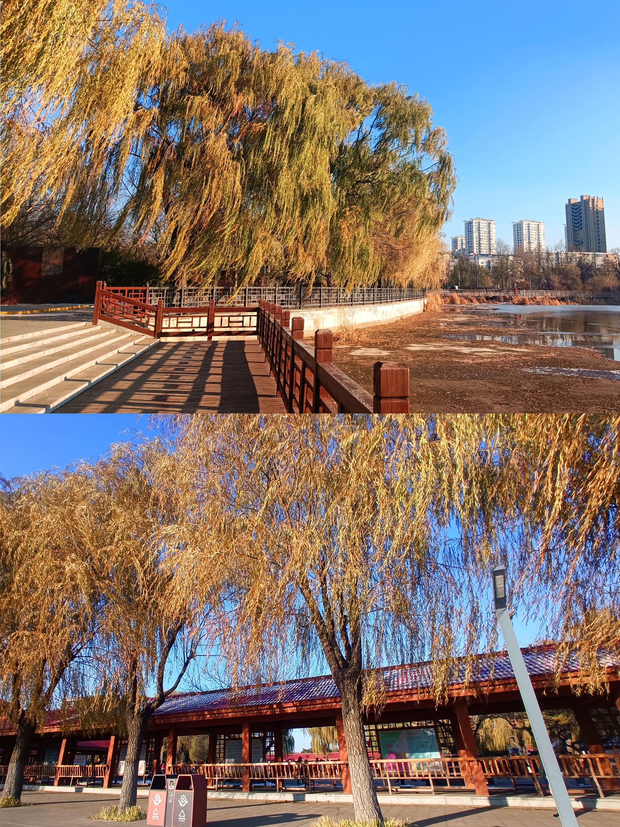 的想法: 冬日公园之|沈阳劳动公园 | 沈阳市劳动公园北门位于铁西区肇