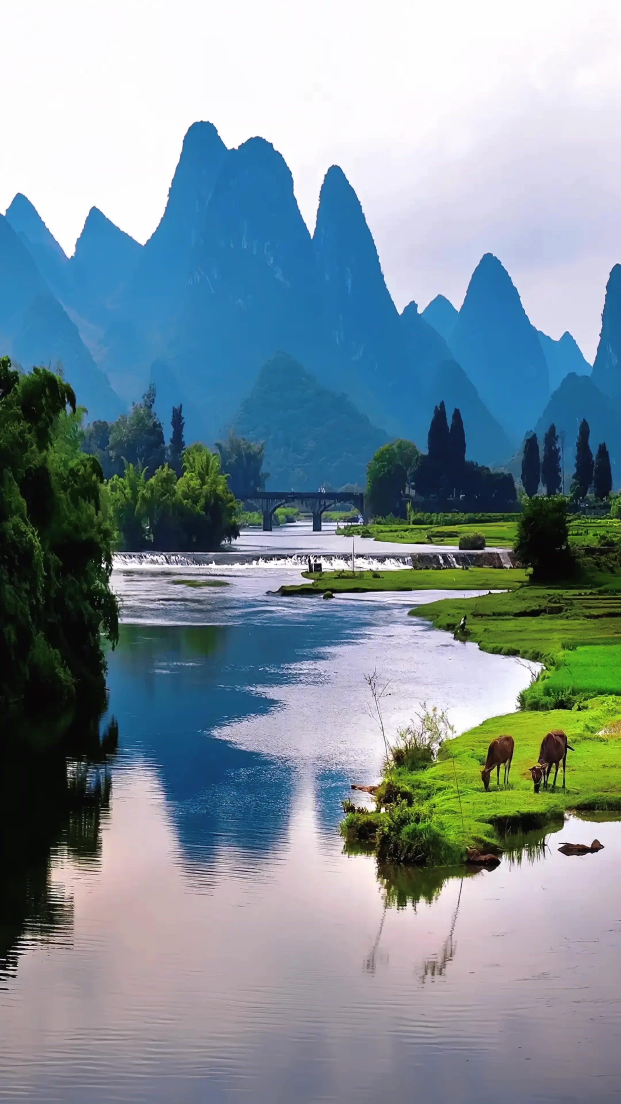 木兮看世界 的想法: 自然所得