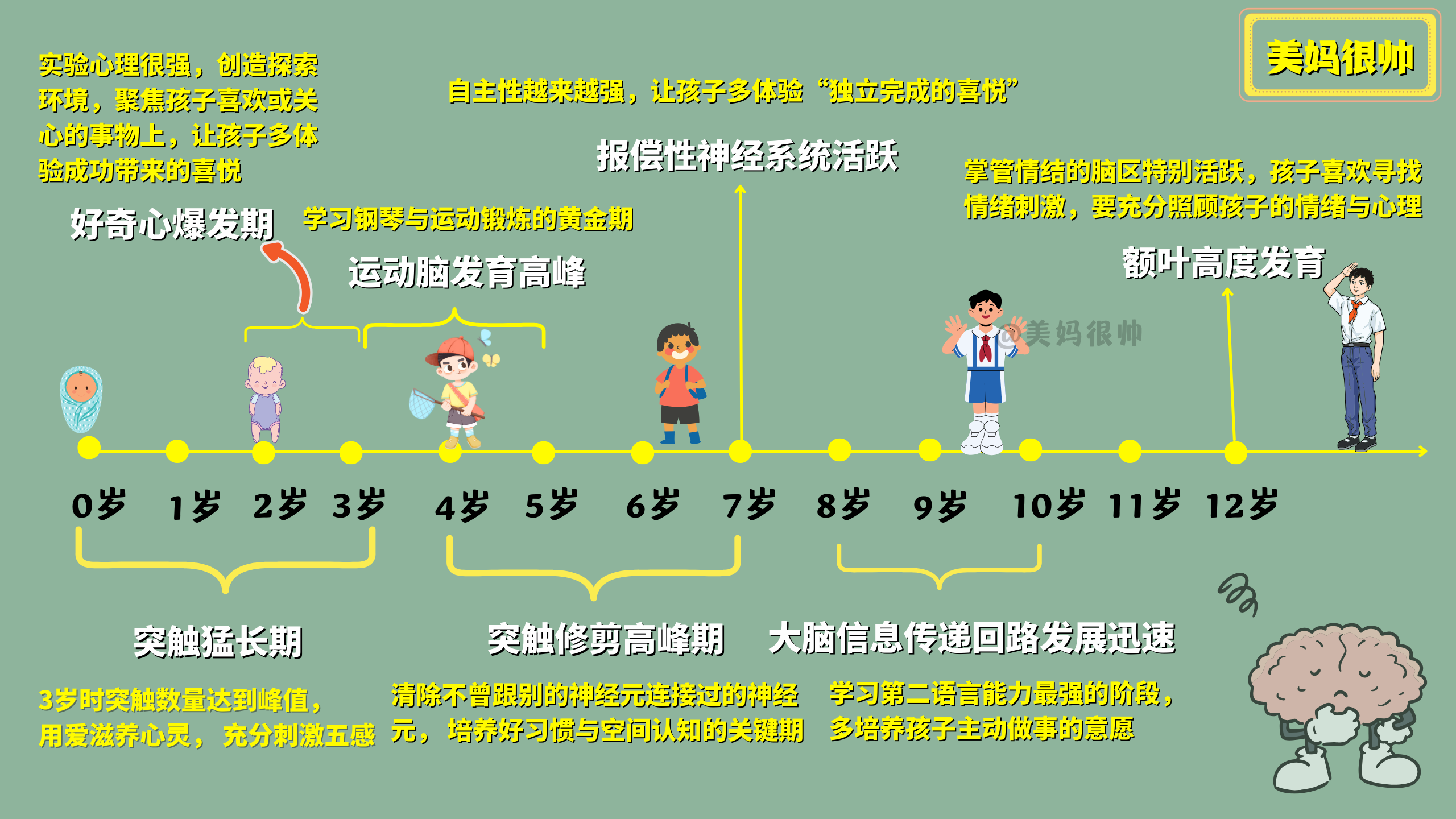 美妈很帅 的想法: 狠抓这些大脑发育黄金期,孩子智商高人一等!