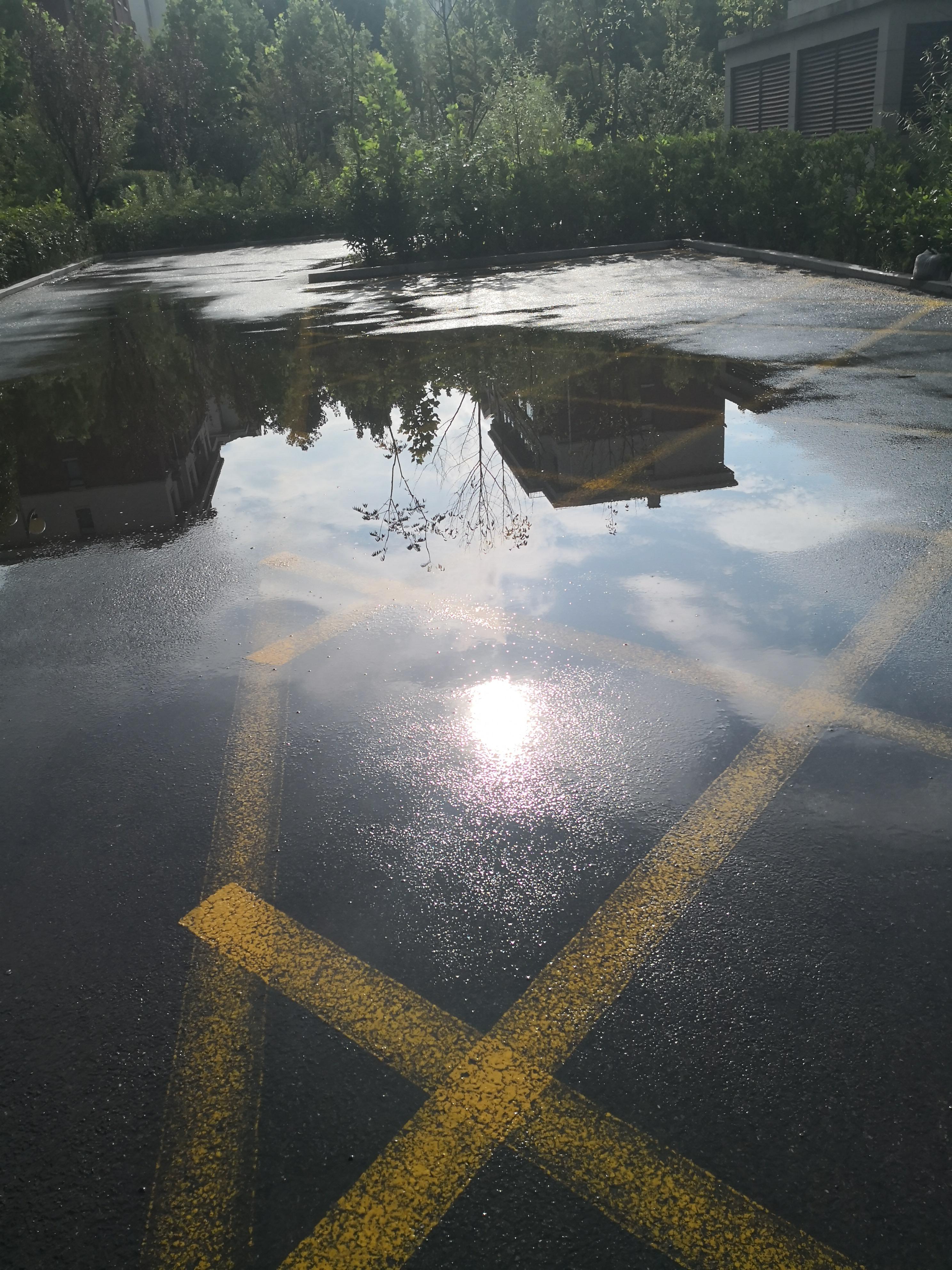 点墨非墨 的想法: 晴天的大雨