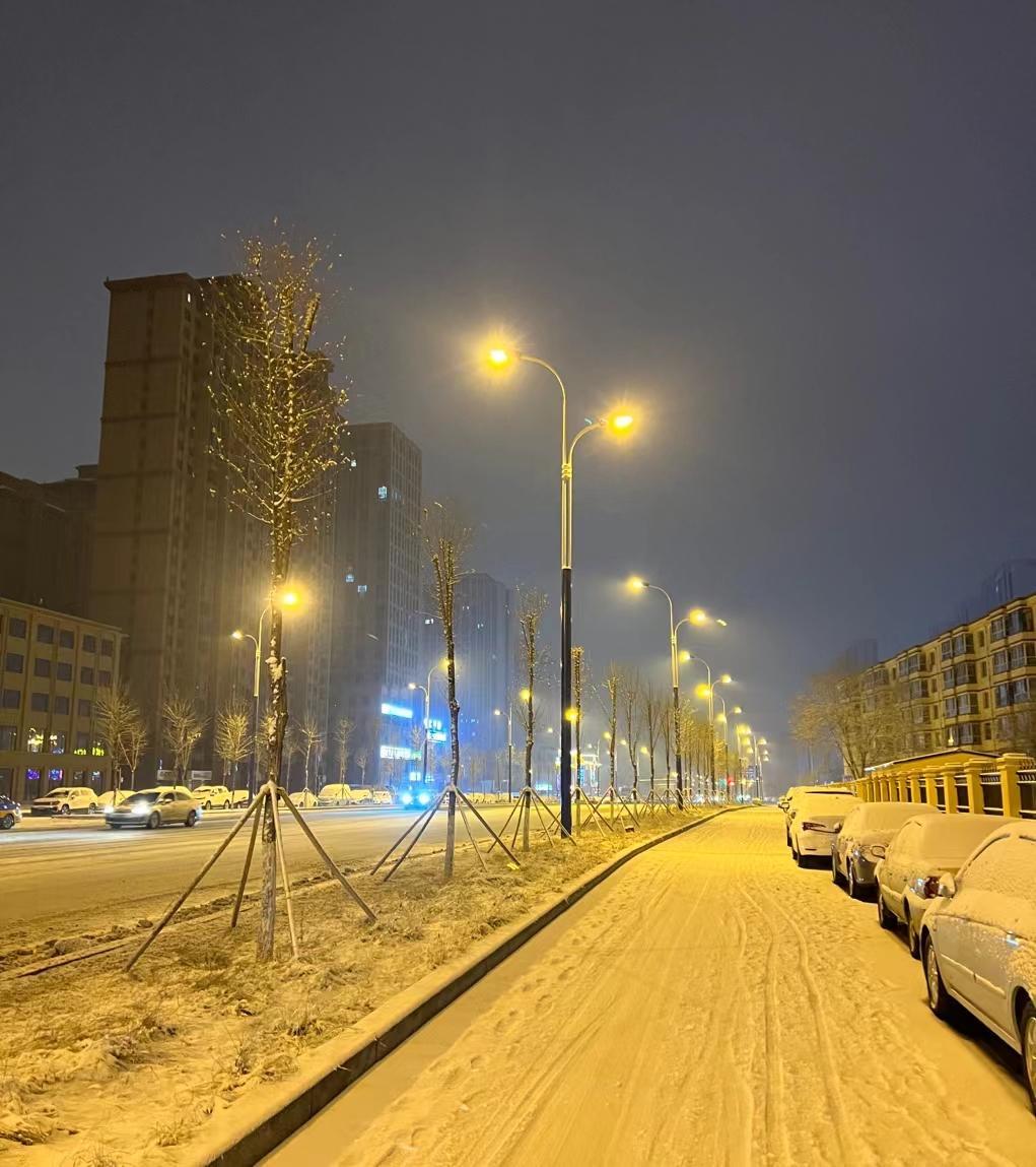 下雪的夜晚真实图片图片