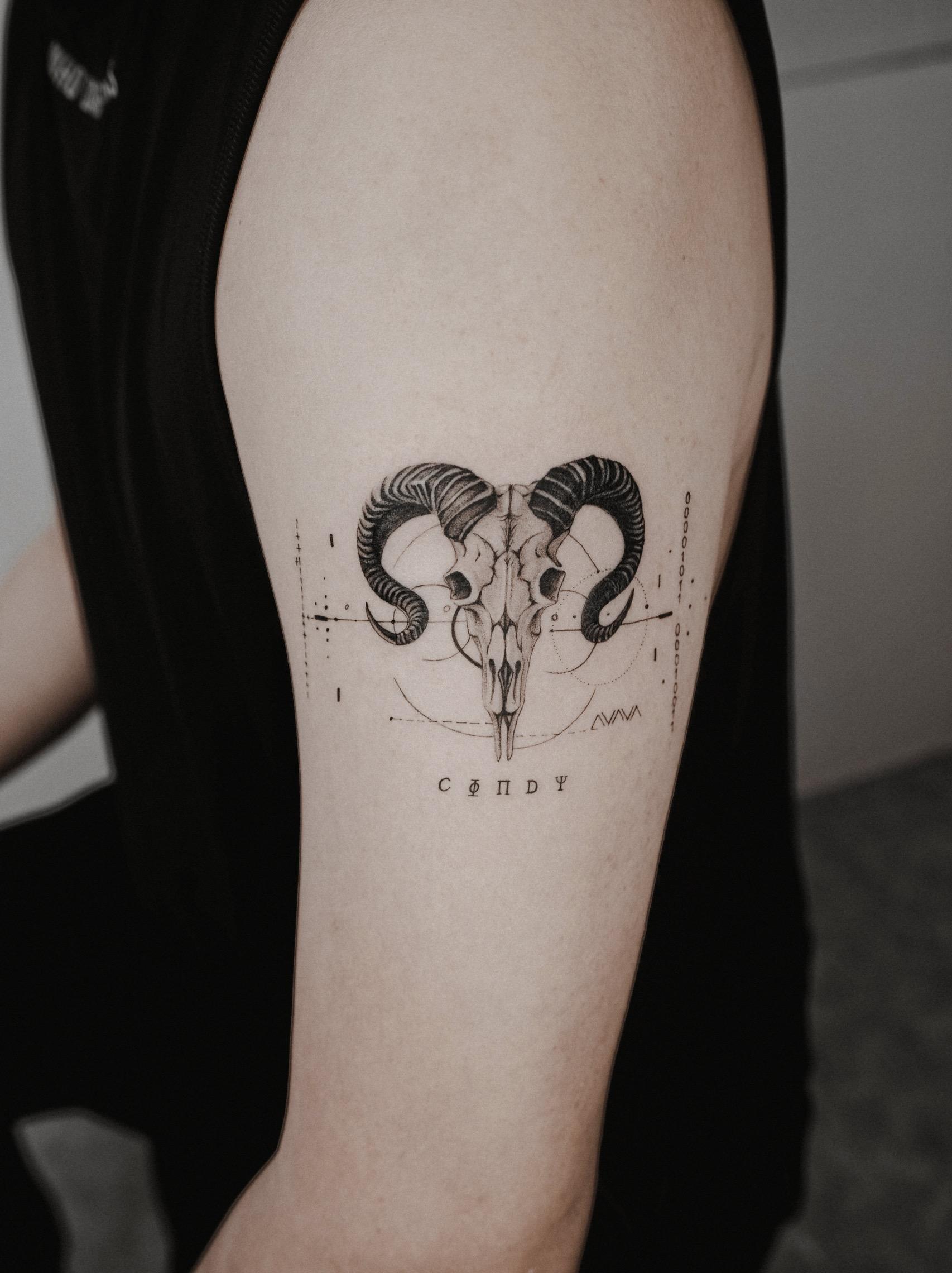 七哥mrlu 的想法: 感谢与我分享的每个故事,并一起把想法实现