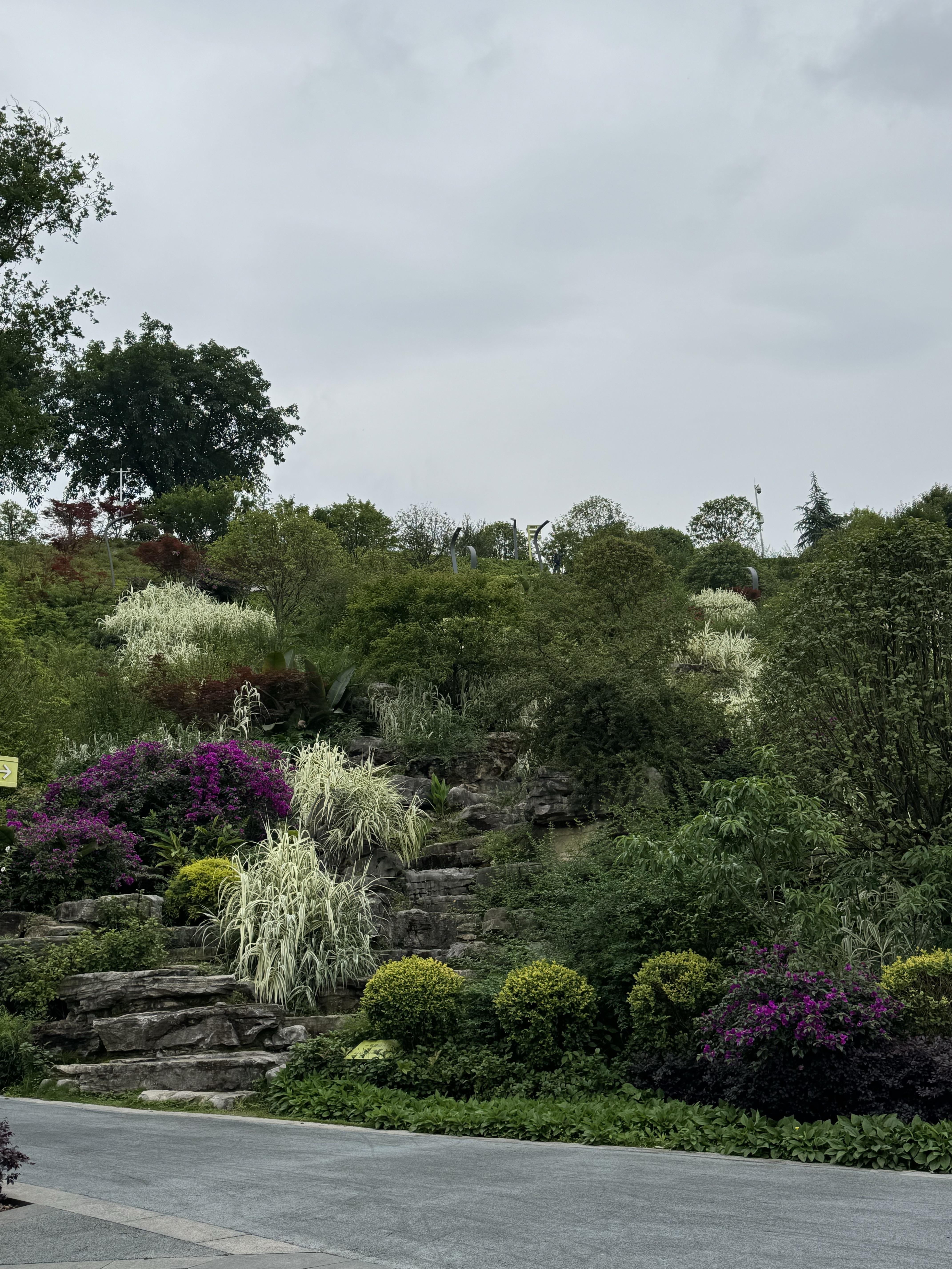 树 的想法: 今天心血来潮,我随手在地图上翻找,偶然发现了这个在城市
