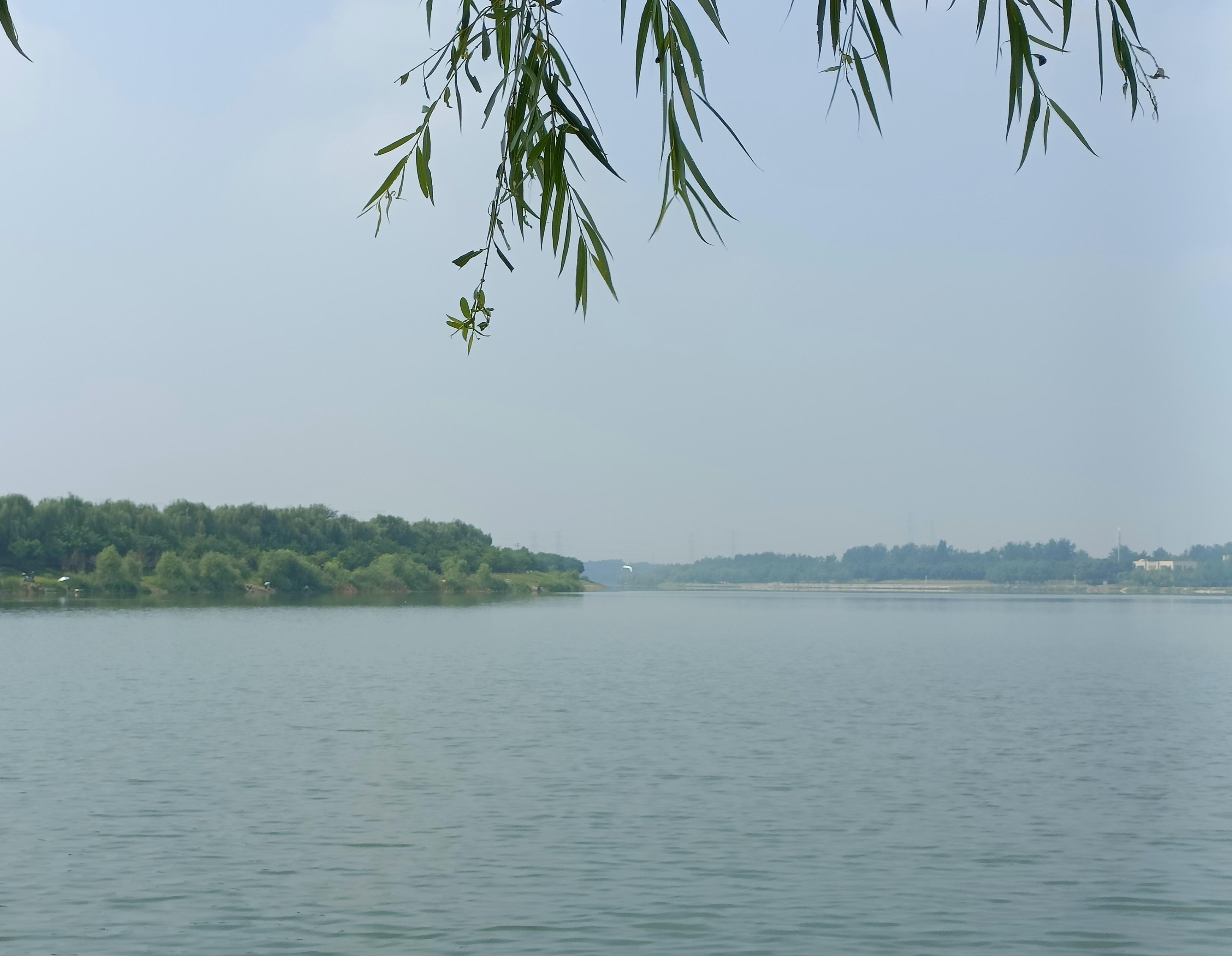 路漫漫 的想法: 河边约会 | 生活在河边的人很是惬意,夏天吹风,冬日