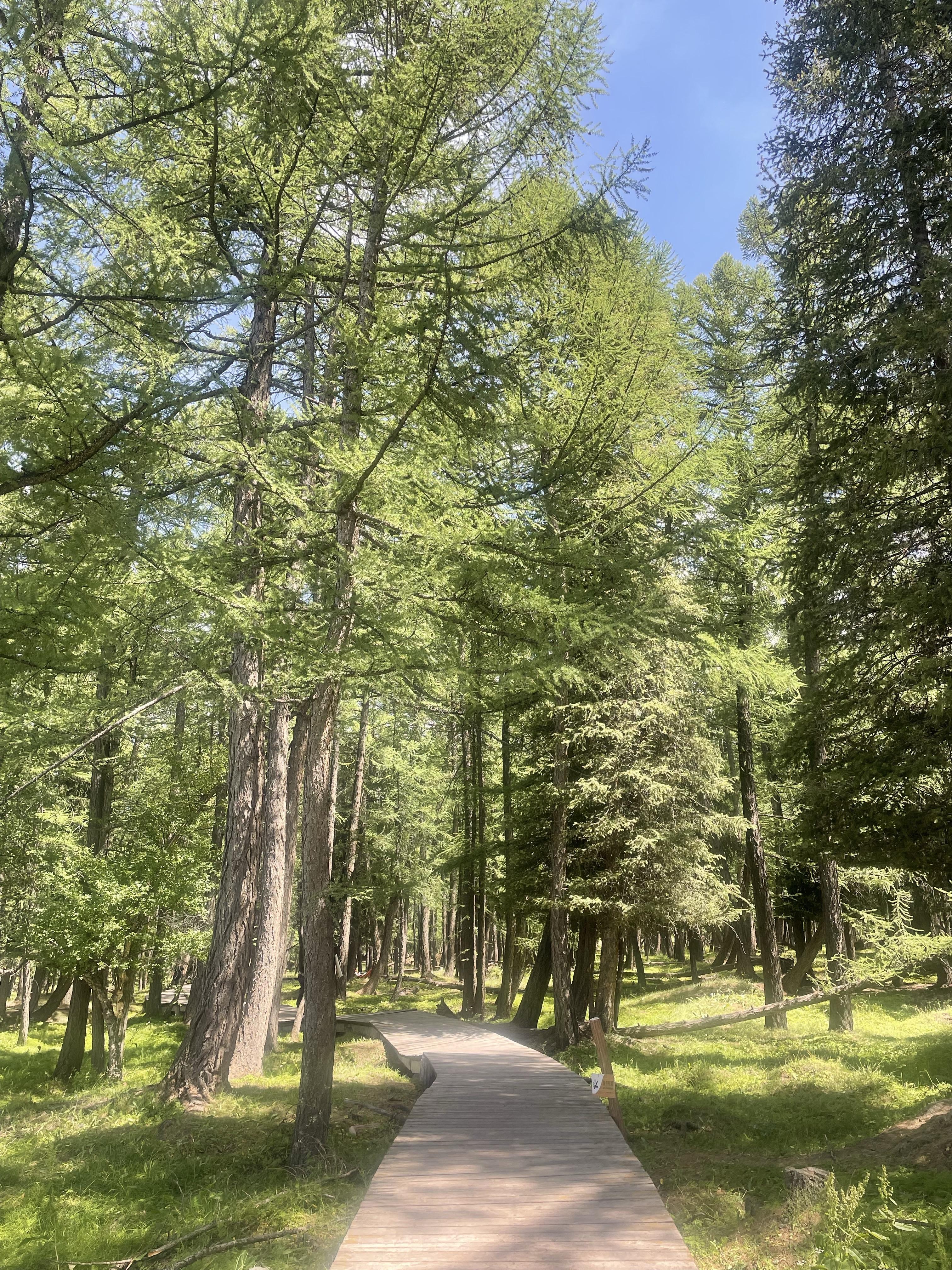 peyo wang 的想法: 哈密|小众绝美的白石头风景区 | 新疆哈密,西部